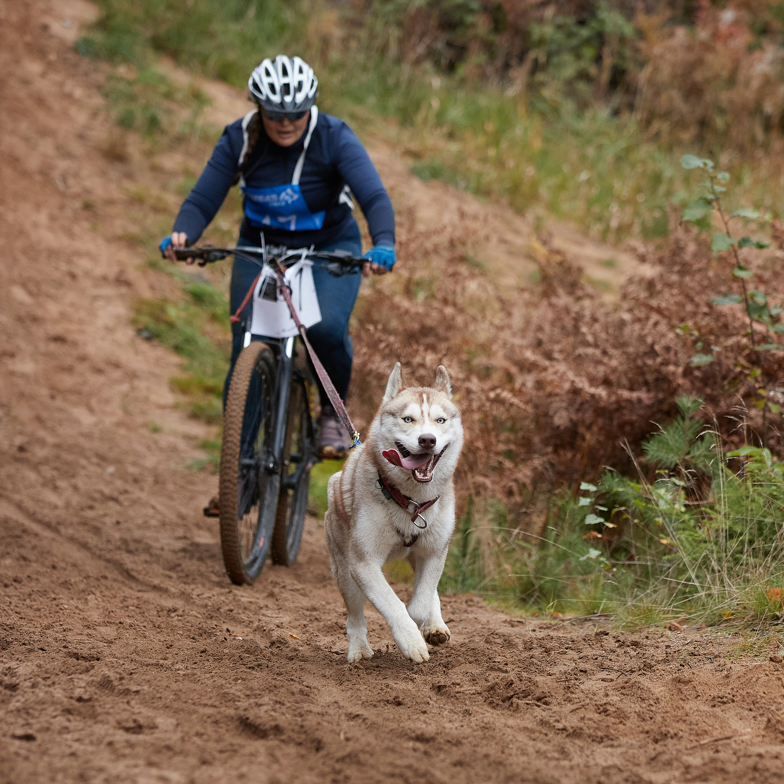ЧЕМПИОНАТ РОССИИ РКФ 25–26 сентября 2021 г. ФОТОГРАФ-АНИМАЛИСТ l LANA POLYAKOVA