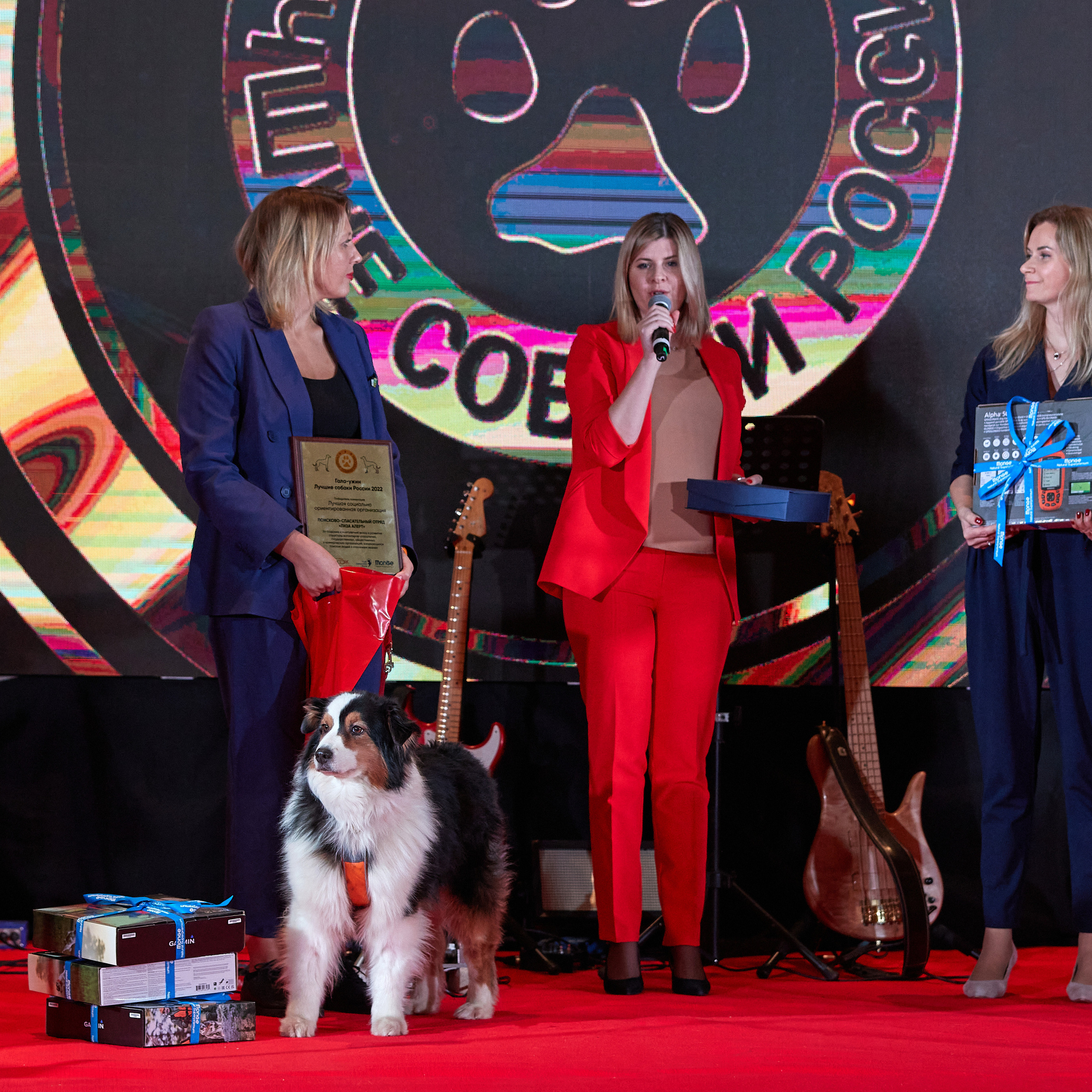 Репортаж с церемонии «BEST RUSSIAN DOG 2022». ФОТОГРАФ-АНИМАЛИСТ l LANA POLYAKOVA