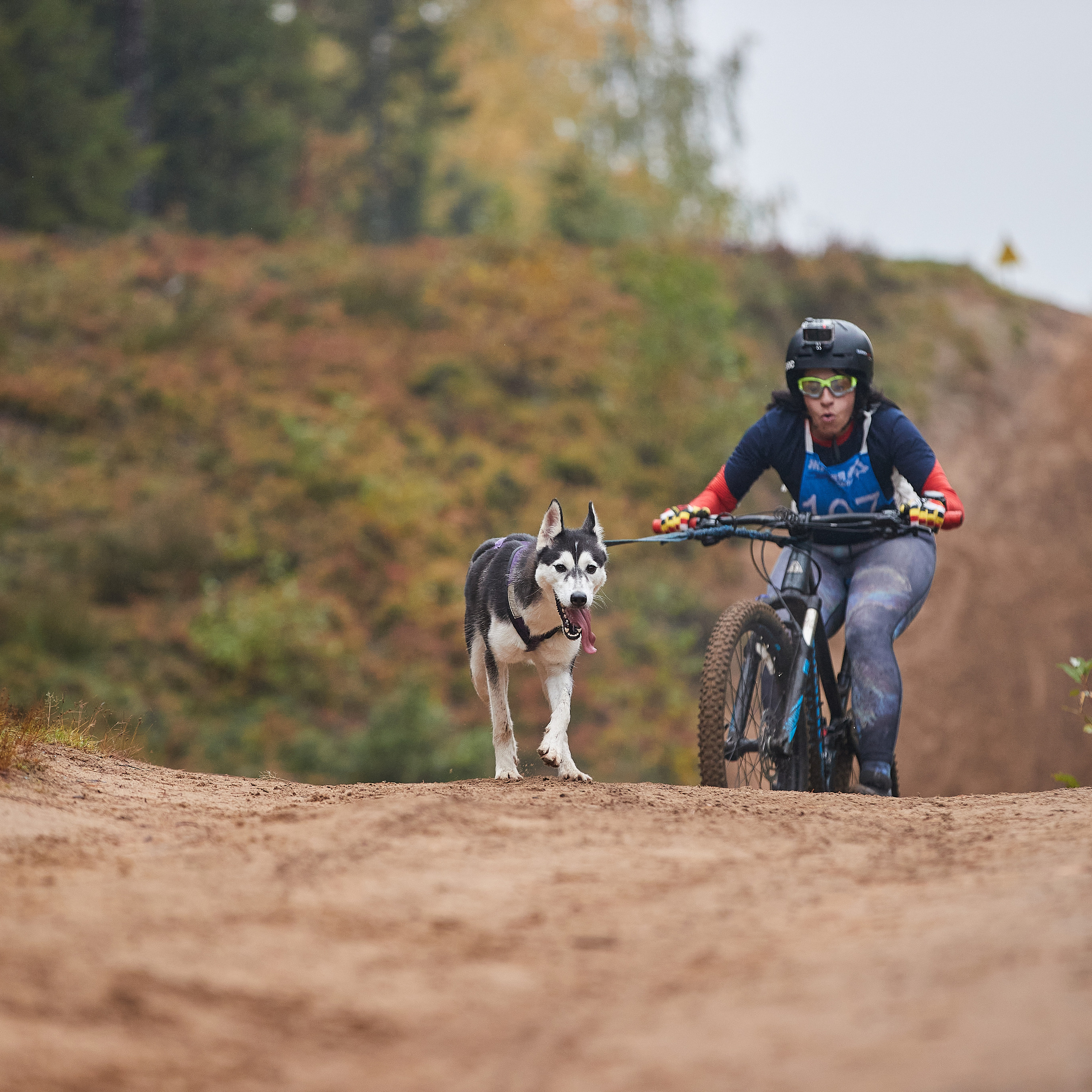 ЧЕМПИОНАТ РОССИИ РКФ 25–26 сентября 2021 г. ФОТОГРАФ-АНИМАЛИСТ l LANA POLYAKOVA