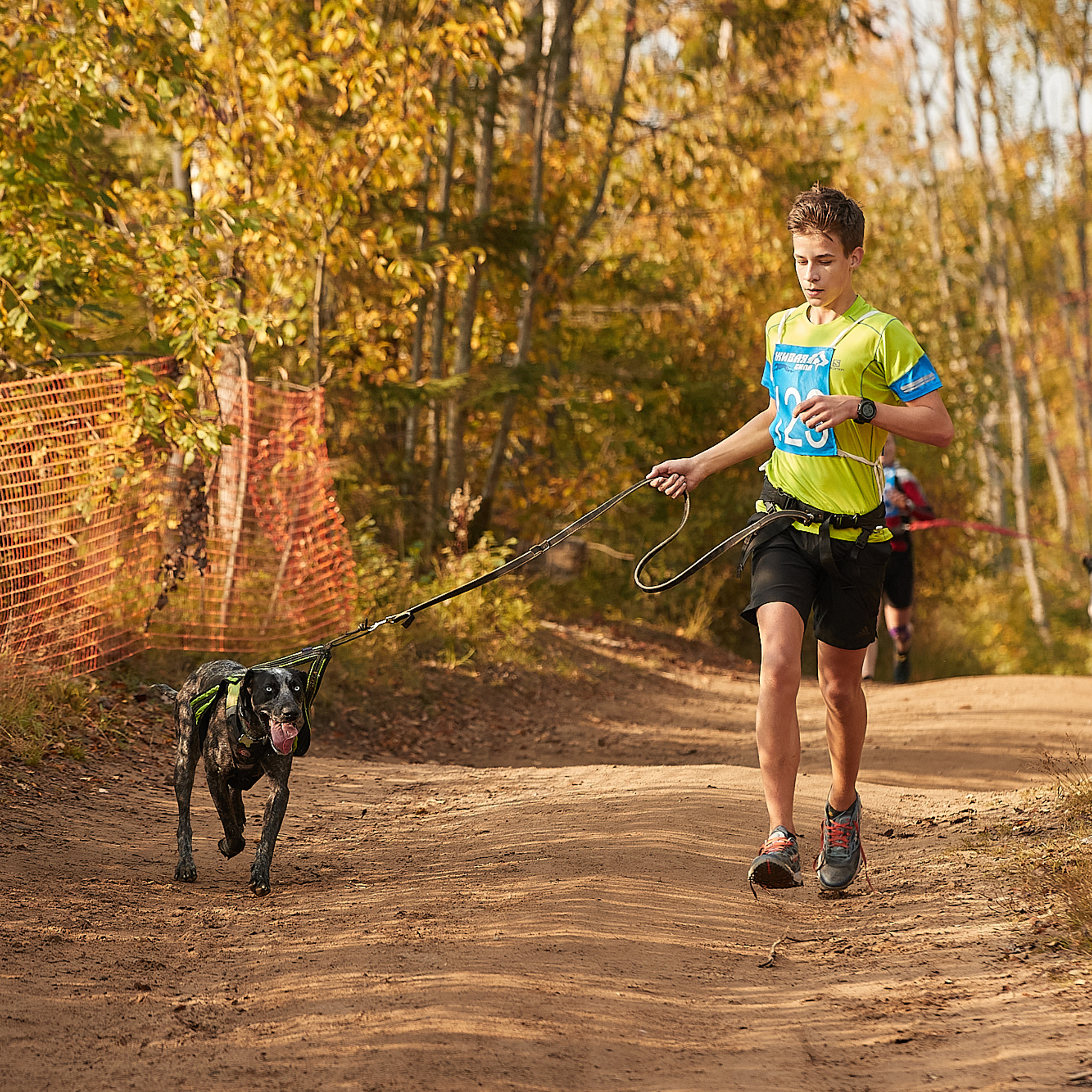 ЧЕМПИОНАТ РОССИИ РКФ 27 сентября 2020 г., 2й день. ФОТОГРАФ-АНИМАЛИСТ l LANA POLYAKOVA