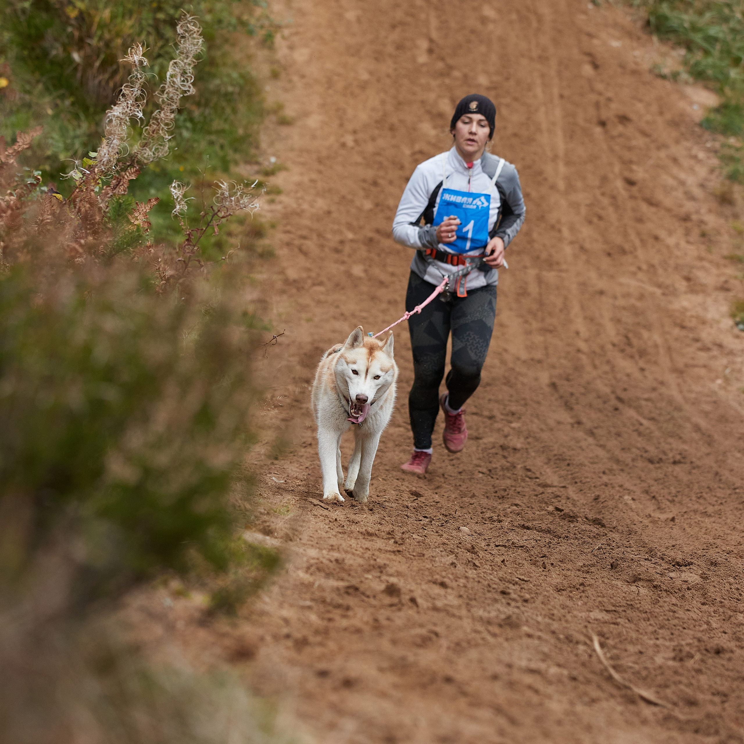 ЧЕМПИОНАТ РОССИИ РКФ 25–26 сентября 2021 г. ФОТОГРАФ-АНИМАЛИСТ l LANA POLYAKOVA