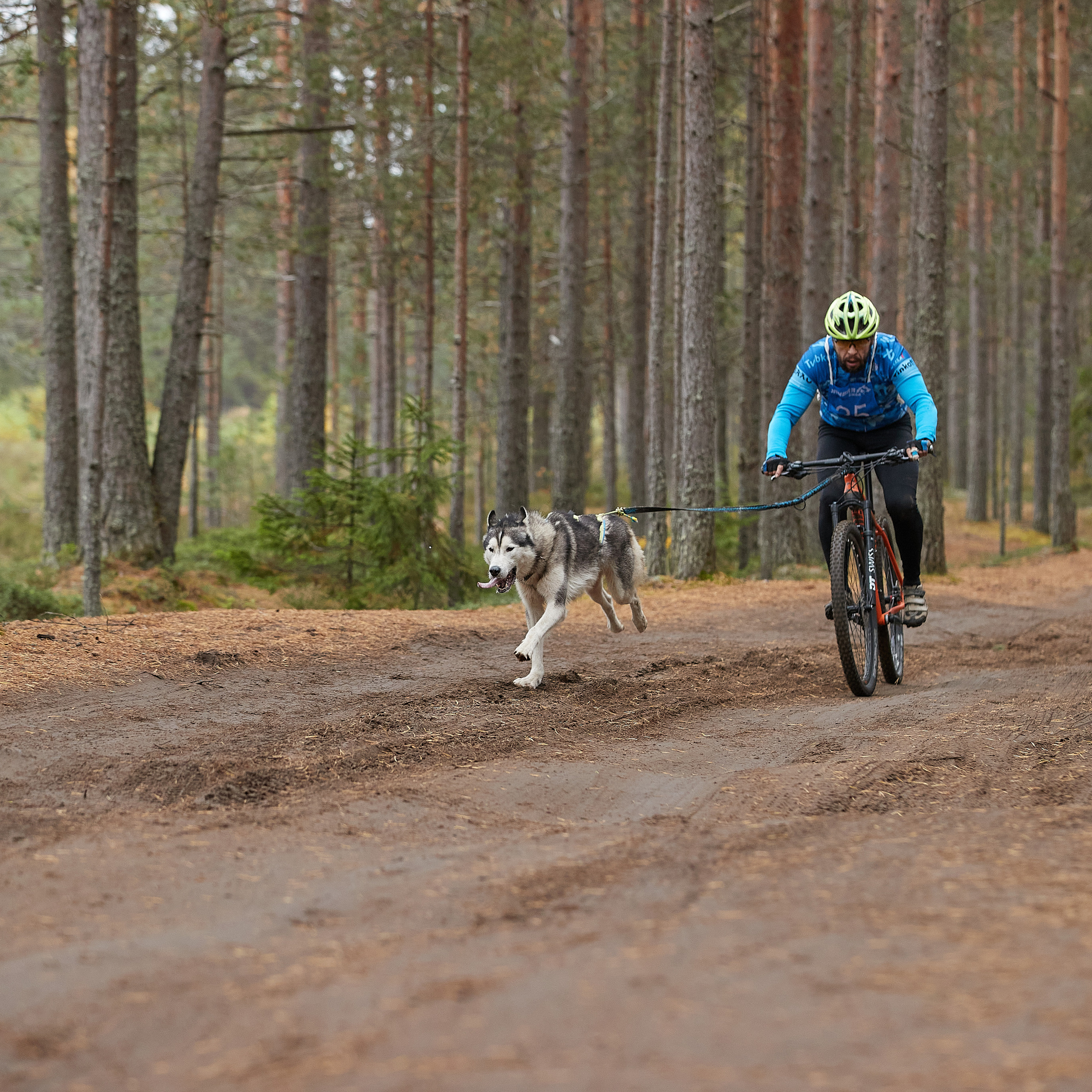 ЧЕМПИОНАТ РОССИИ РКФ 25–26 сентября 2021 г. ФОТОГРАФ-АНИМАЛИСТ l LANA POLYAKOVA