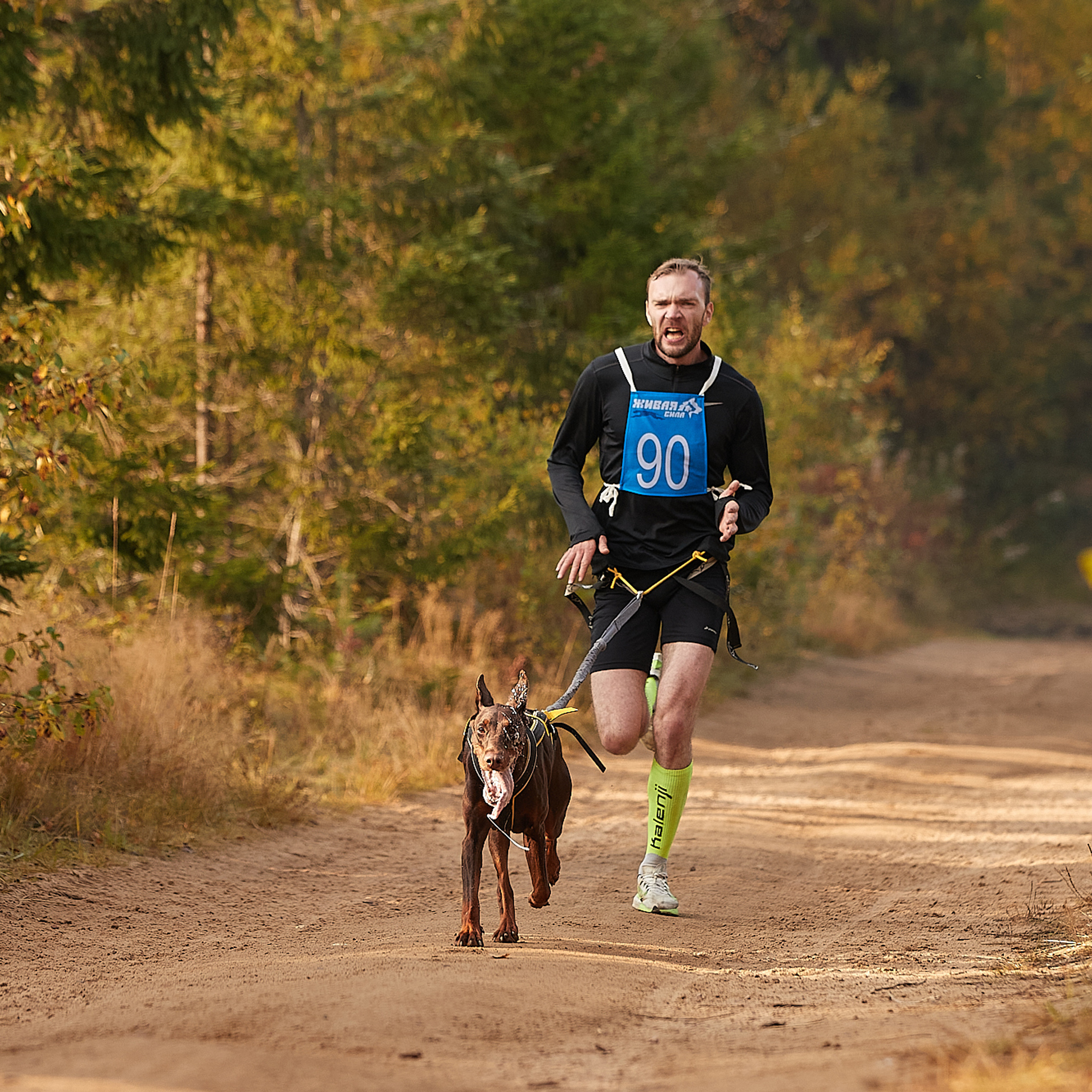 ЧЕМПИОНАТ РОССИИ РКФ 27 сентября 2020 г., 2й день. ФОТОГРАФ-АНИМАЛИСТ l LANA POLYAKOVA