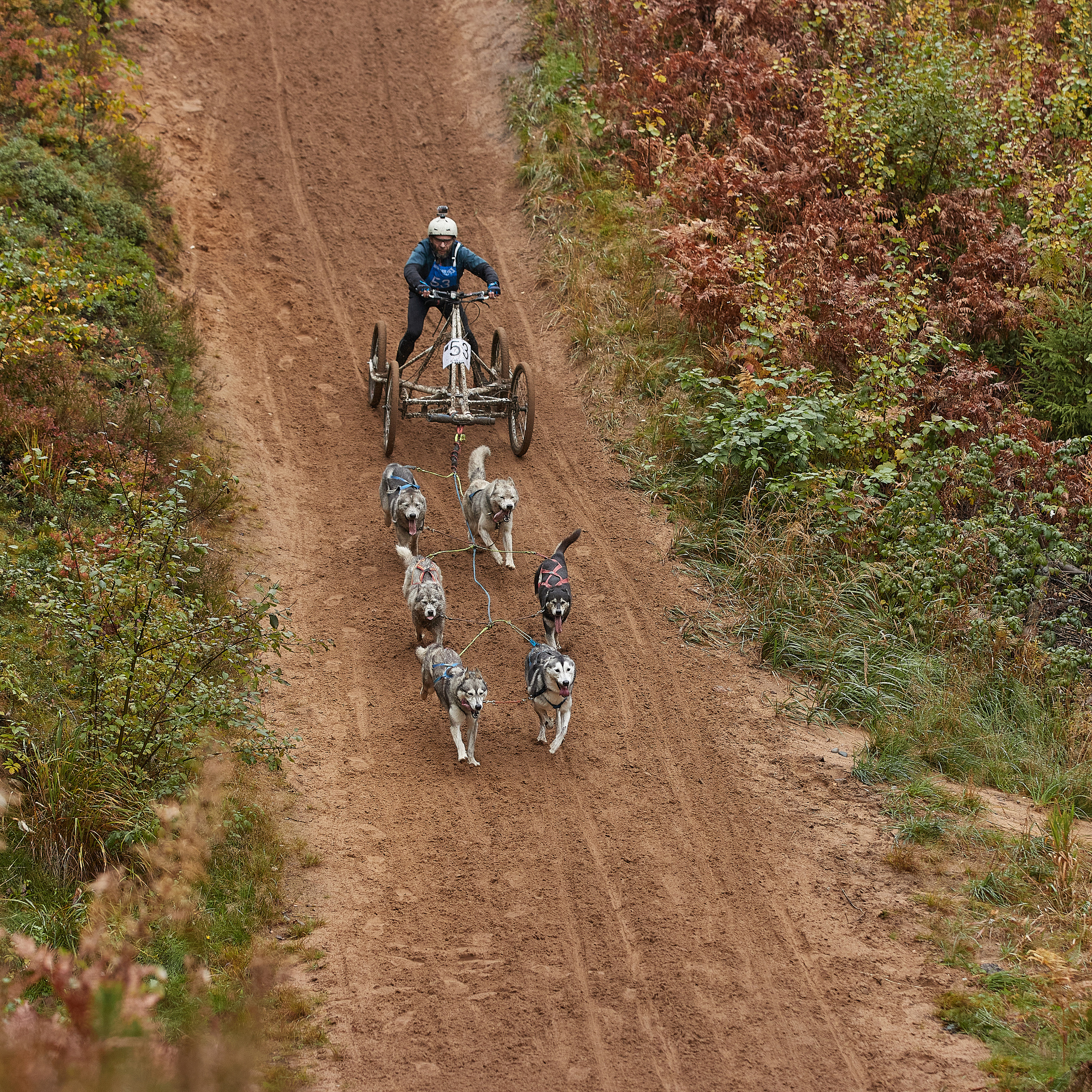 ЧЕМПИОНАТ РОССИИ РКФ 25–26 сентября 2021 г. ФОТОГРАФ-АНИМАЛИСТ l LANA POLYAKOVA