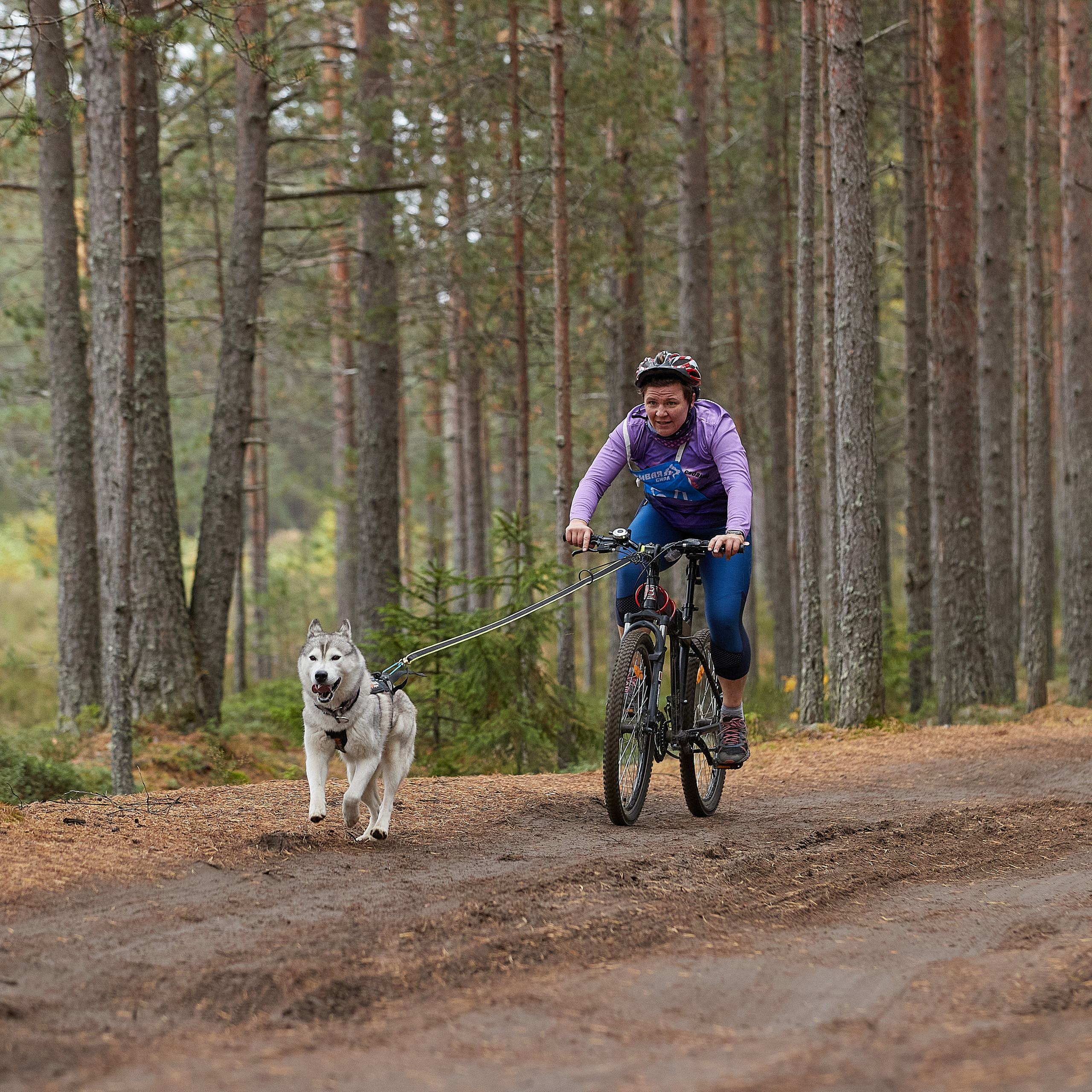 ЧЕМПИОНАТ РОССИИ РКФ 25–26 сентября 2021 г. ФОТОГРАФ-АНИМАЛИСТ l LANA POLYAKOVA