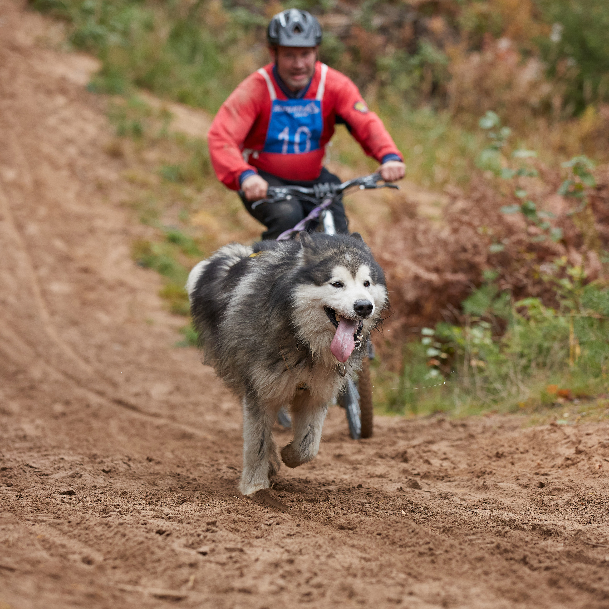 ЧЕМПИОНАТ РОССИИ РКФ 25–26 сентября 2021 г. ФОТОГРАФ-АНИМАЛИСТ l LANA POLYAKOVA