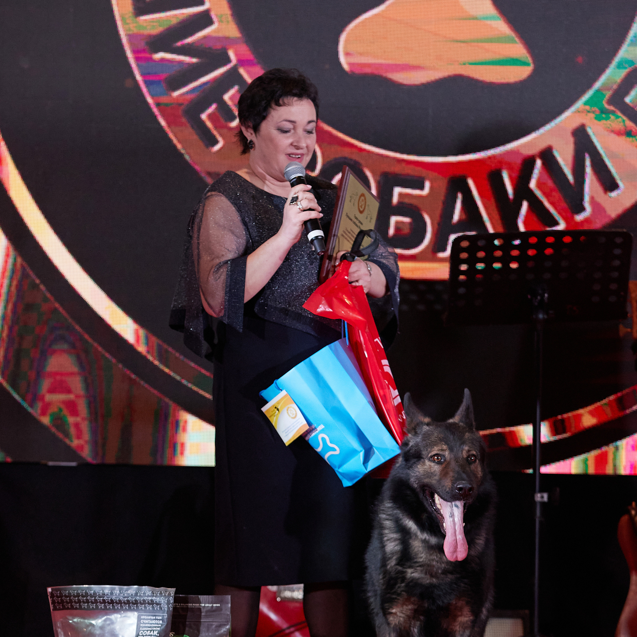 Репортаж с церемонии «BEST RUSSIAN DOG 2022». ФОТОГРАФ-АНИМАЛИСТ l LANA POLYAKOVA