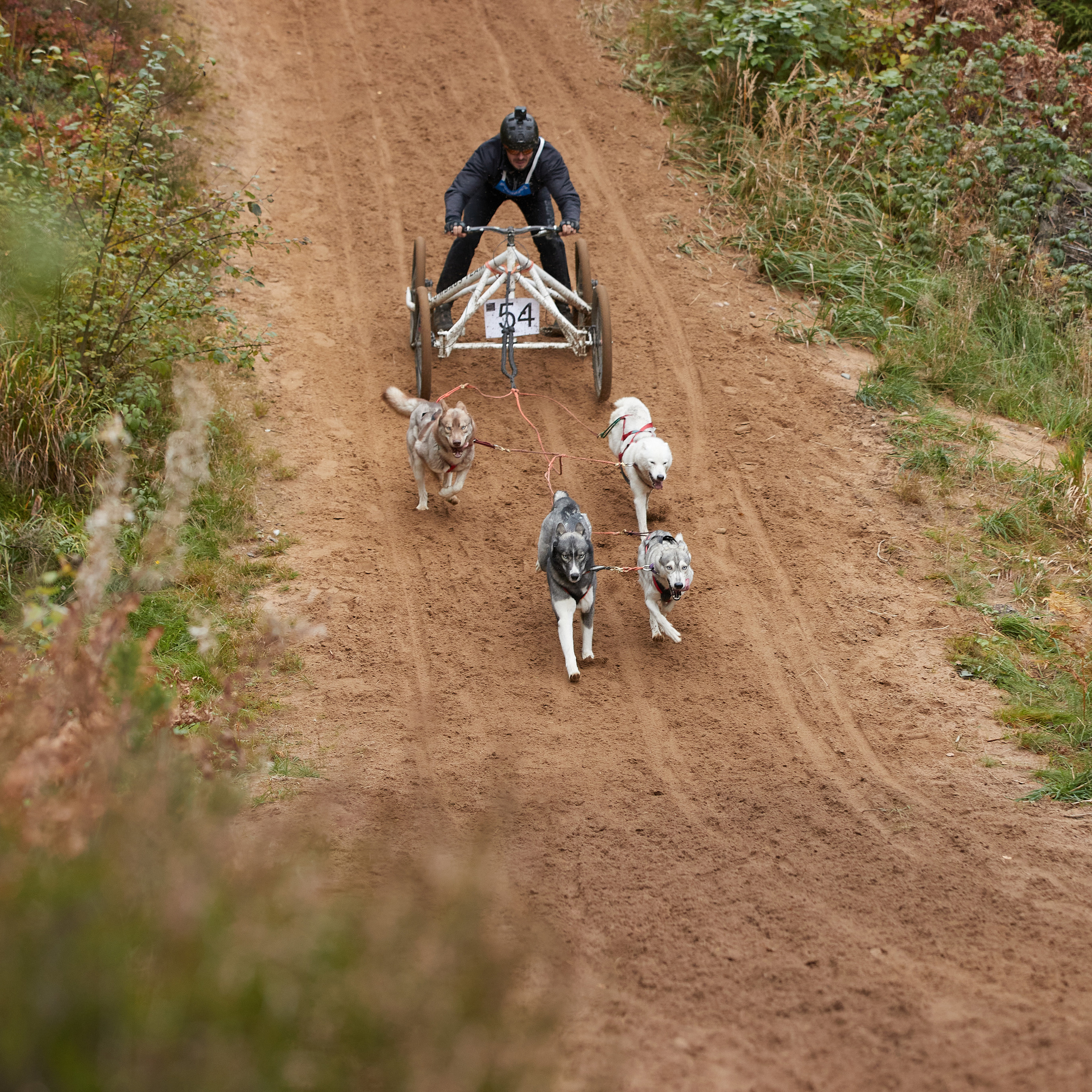 ЧЕМПИОНАТ РОССИИ РКФ 25–26 сентября 2021 г. ФОТОГРАФ-АНИМАЛИСТ l LANA POLYAKOVA