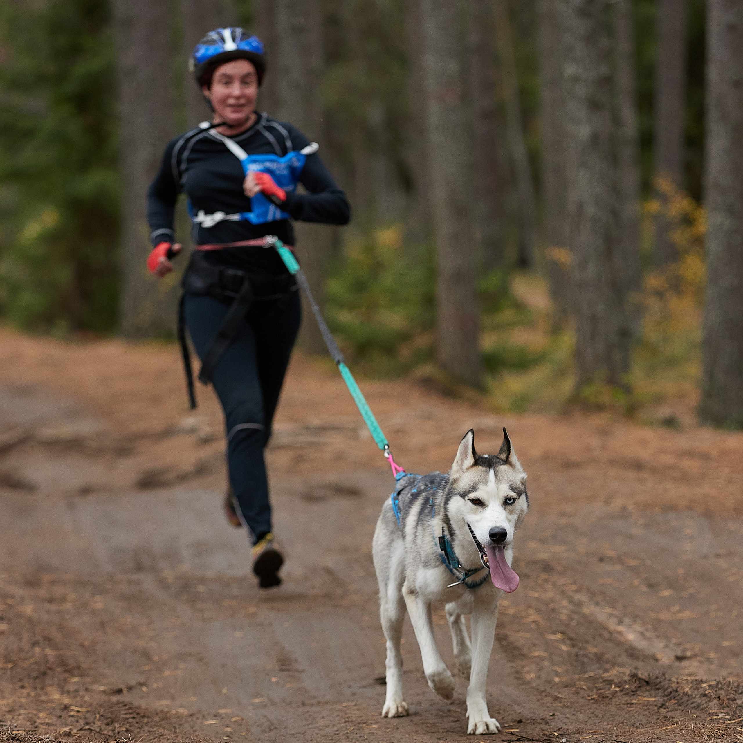 ЧЕМПИОНАТ РОССИИ РКФ 25–26 сентября 2021 г. ФОТОГРАФ-АНИМАЛИСТ l LANA POLYAKOVA