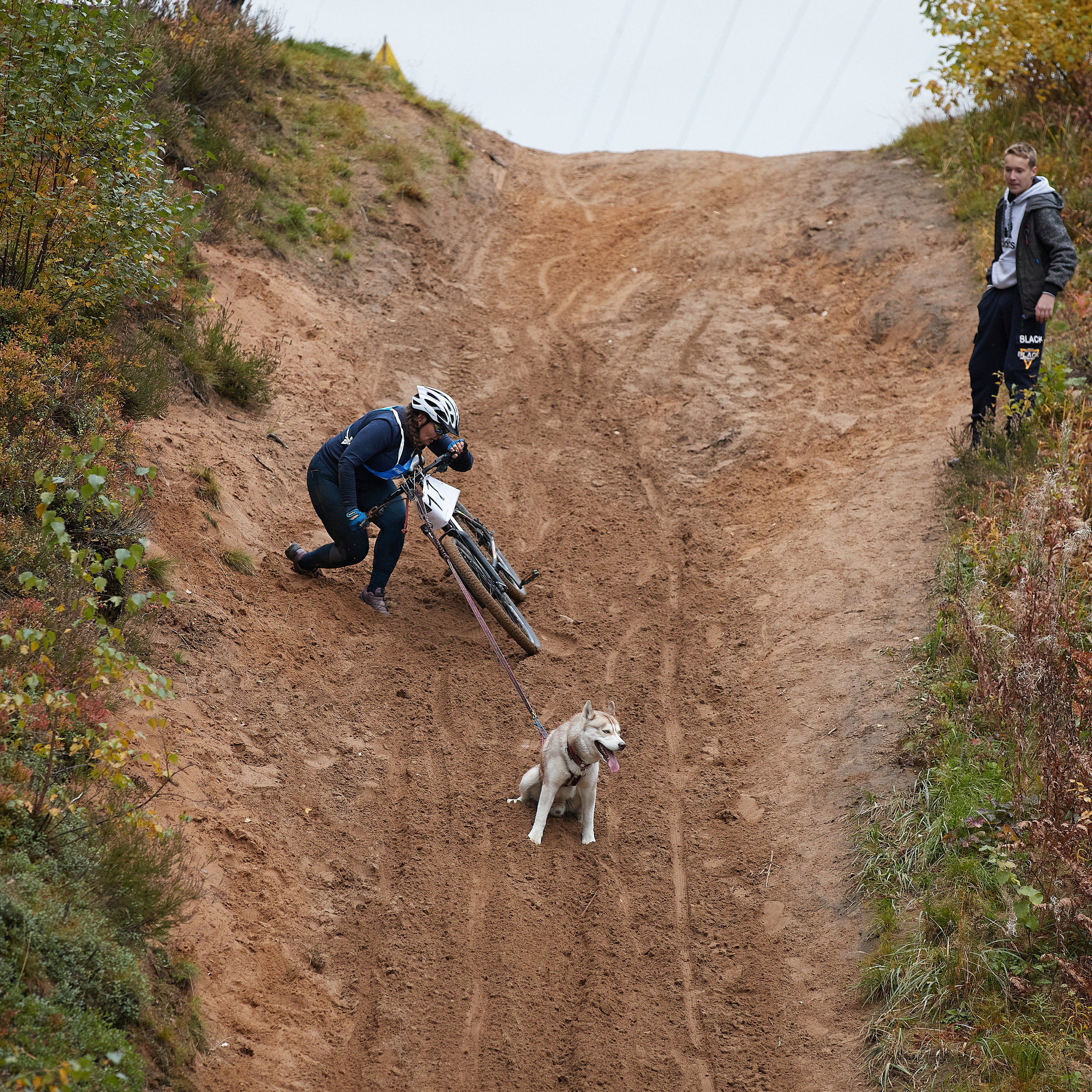 ЧЕМПИОНАТ РОССИИ РКФ 25–26 сентября 2021 г. ФОТОГРАФ-АНИМАЛИСТ l LANA POLYAKOVA