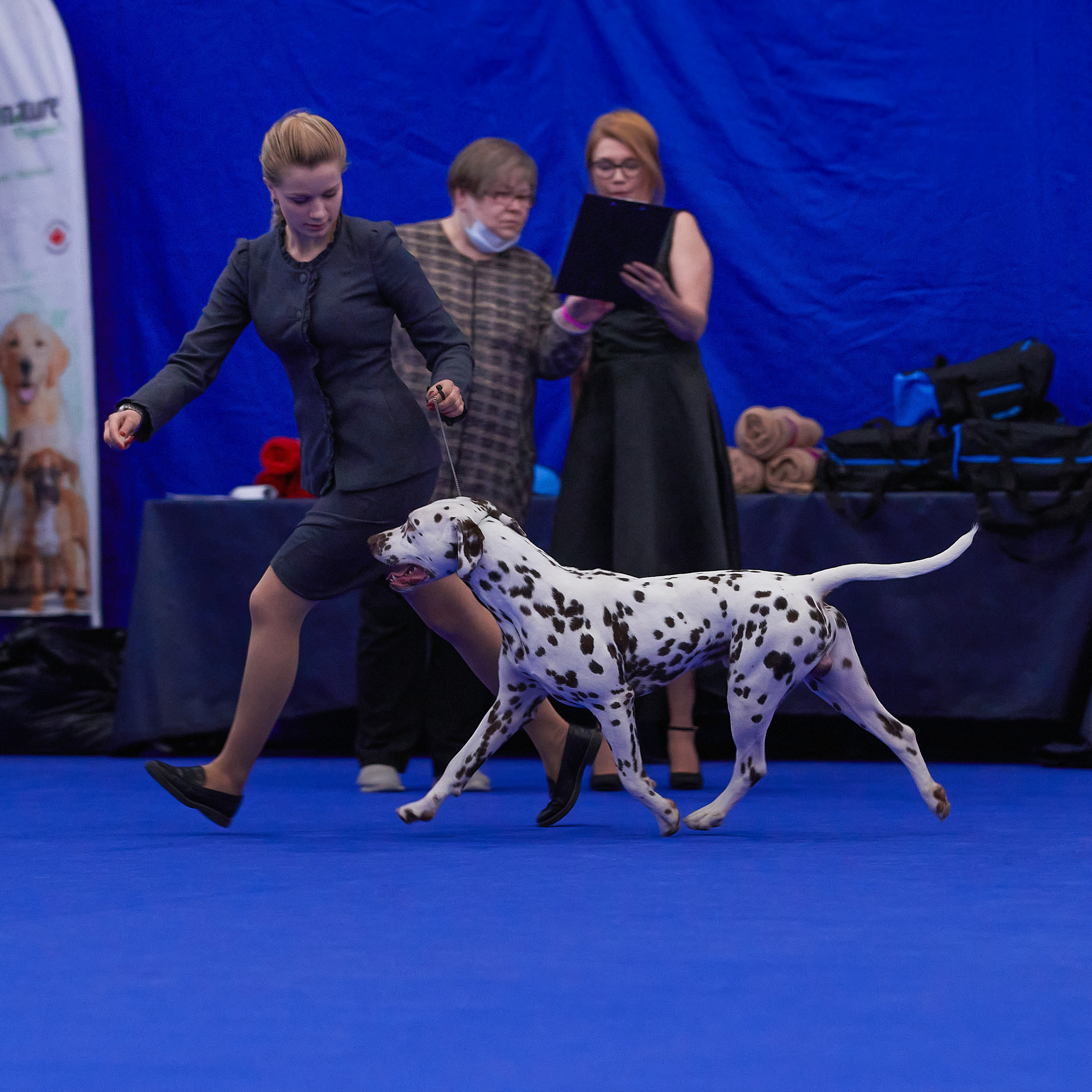24-25.04.21 CACIB в Санкт-Петербурге. ФОТОГРАФ-АНИМАЛИСТ l LANA POLYAKOVA