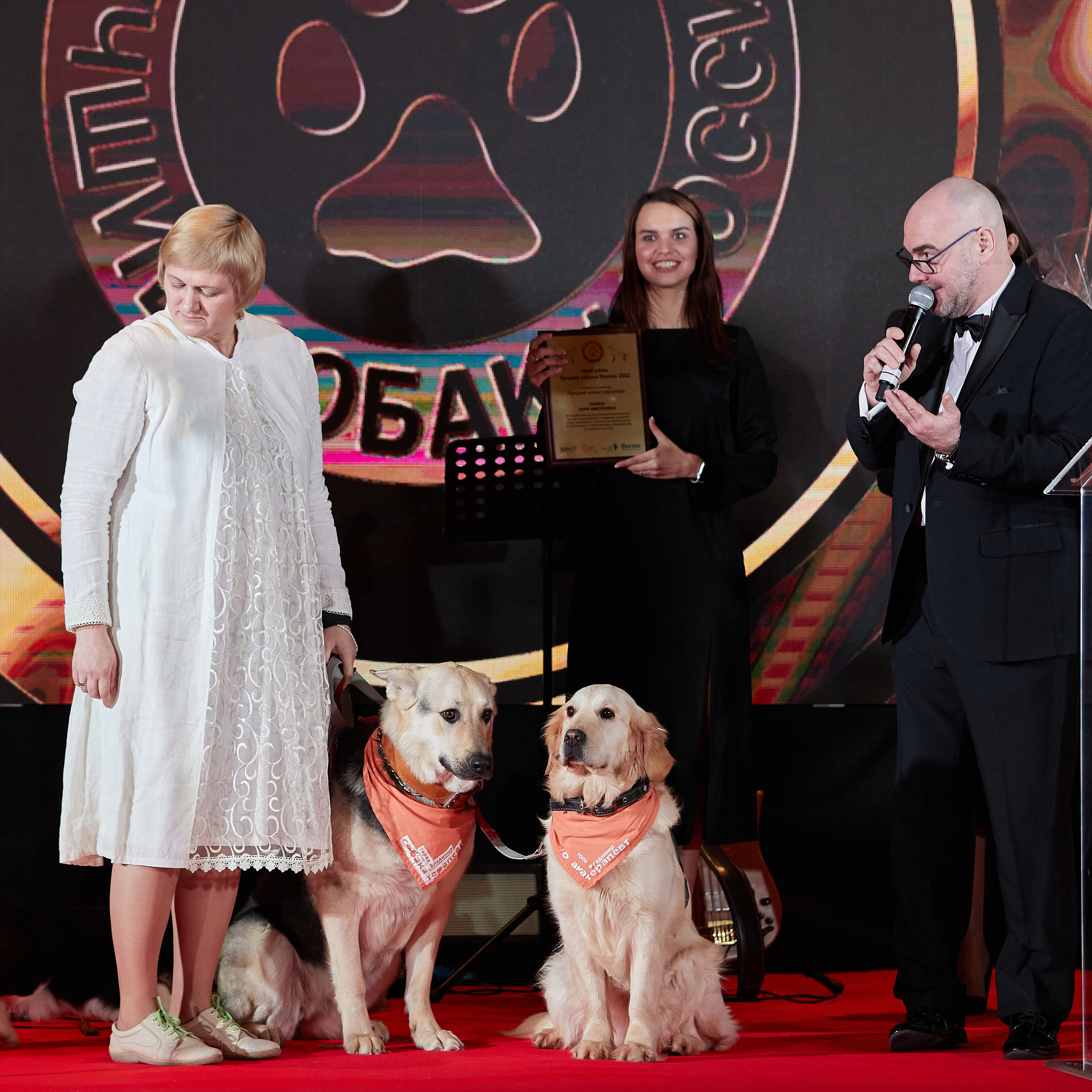 Репортаж с церемонии «BEST RUSSIAN DOG 2022». ФОТОГРАФ-АНИМАЛИСТ l LANA POLYAKOVA