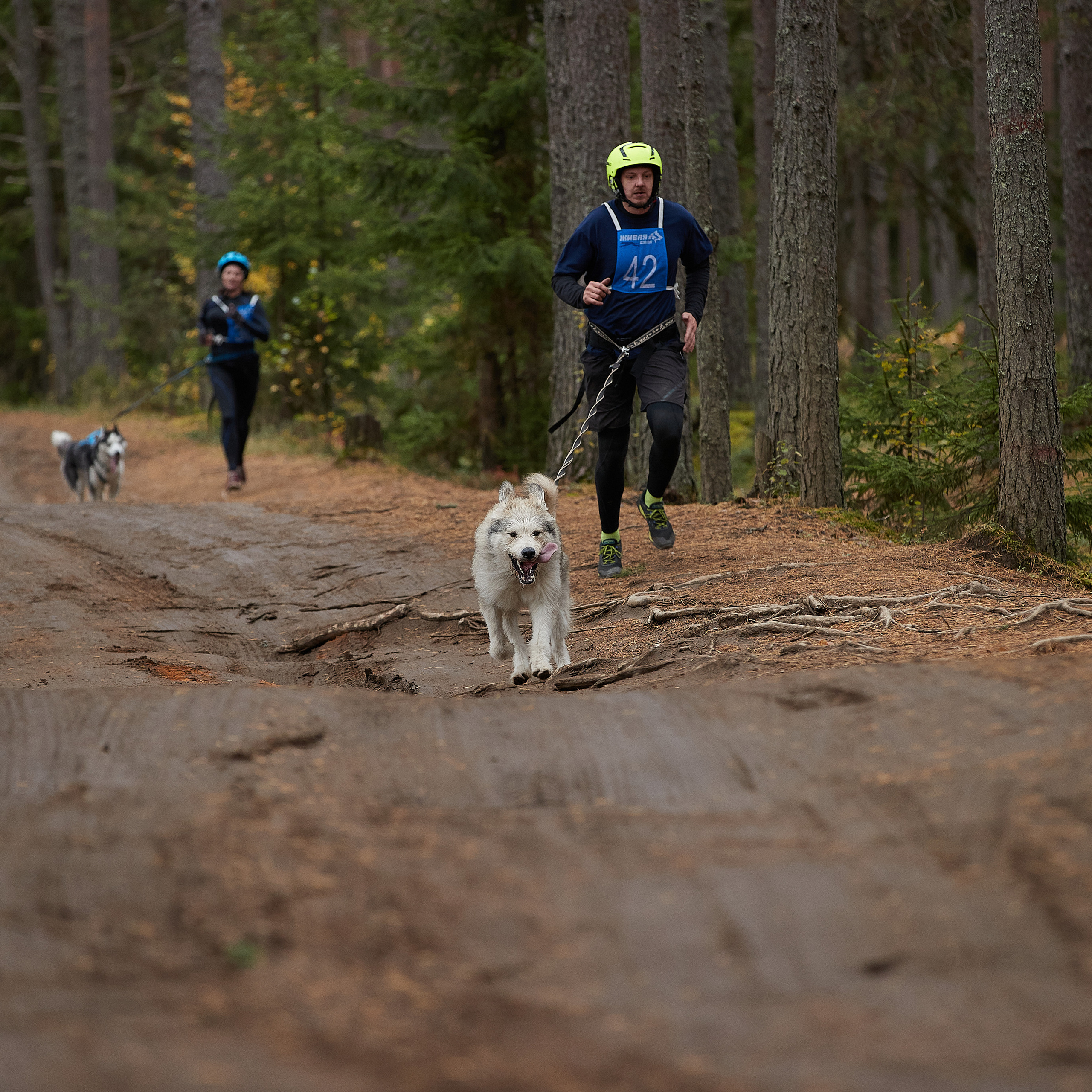 ЧЕМПИОНАТ РОССИИ РКФ 25–26 сентября 2021 г. ФОТОГРАФ-АНИМАЛИСТ l LANA POLYAKOVA
