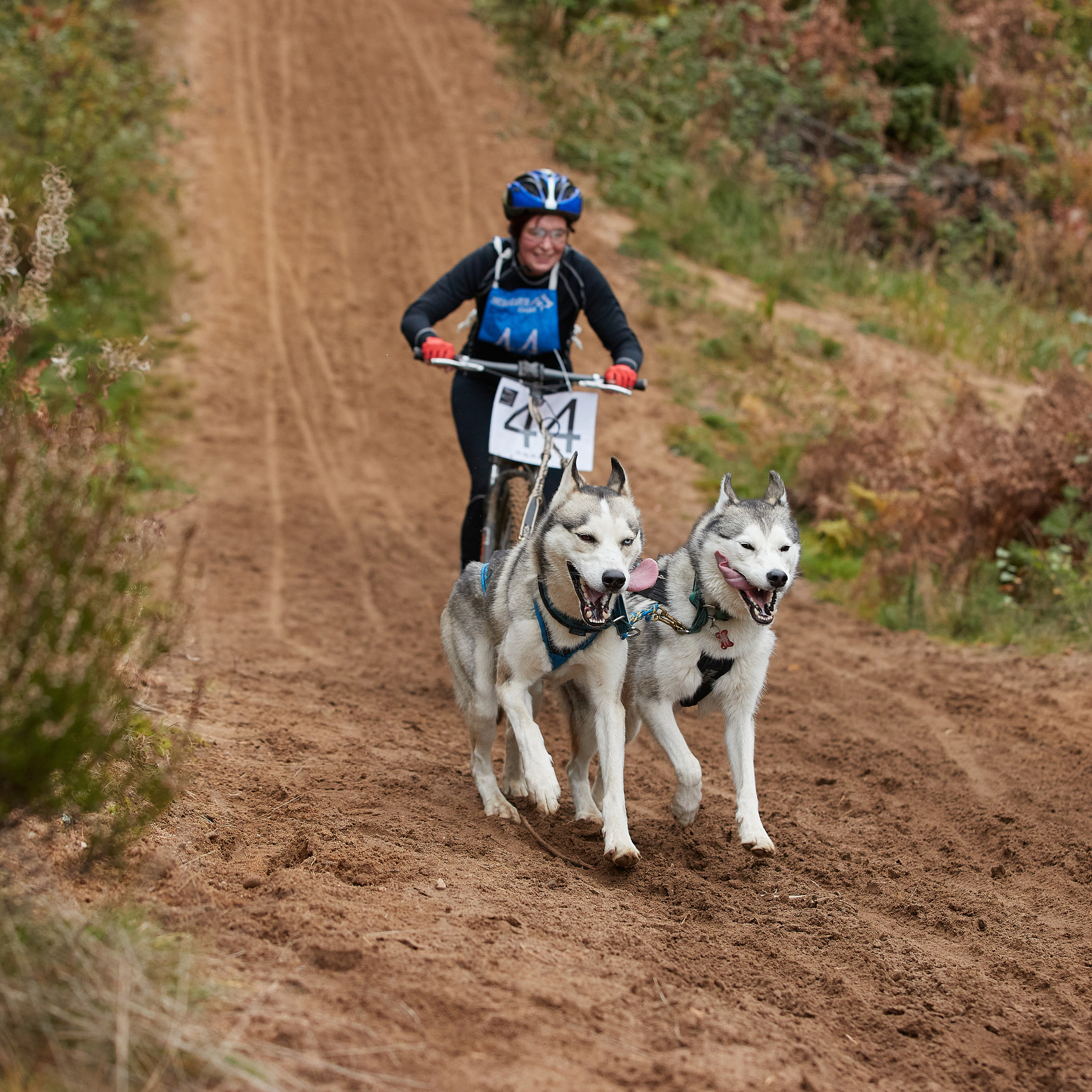ЧЕМПИОНАТ РОССИИ РКФ 25–26 сентября 2021 г. ФОТОГРАФ-АНИМАЛИСТ l LANA POLYAKOVA