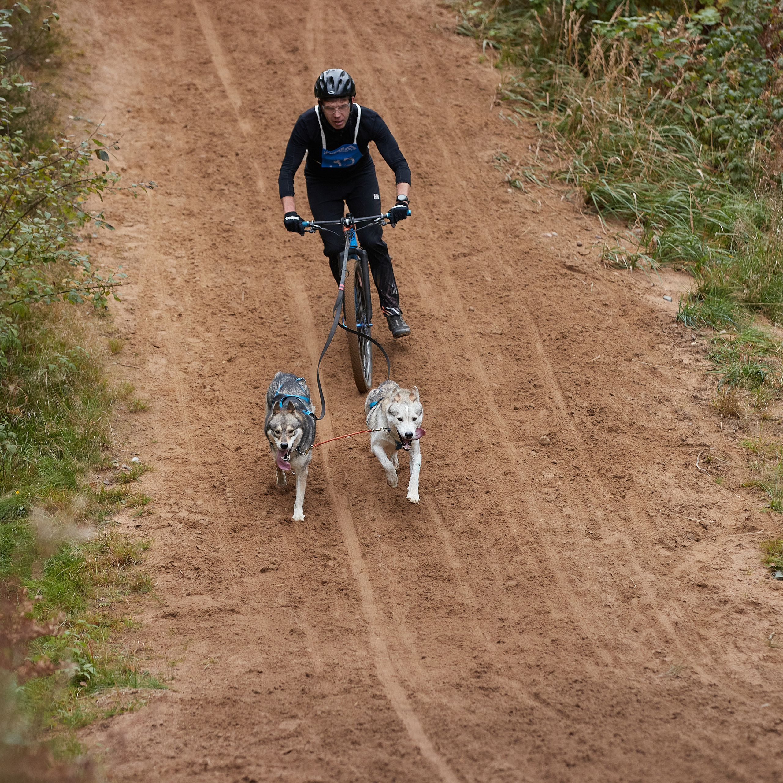 ЧЕМПИОНАТ РОССИИ РКФ 25–26 сентября 2021 г. ФОТОГРАФ-АНИМАЛИСТ l LANA POLYAKOVA