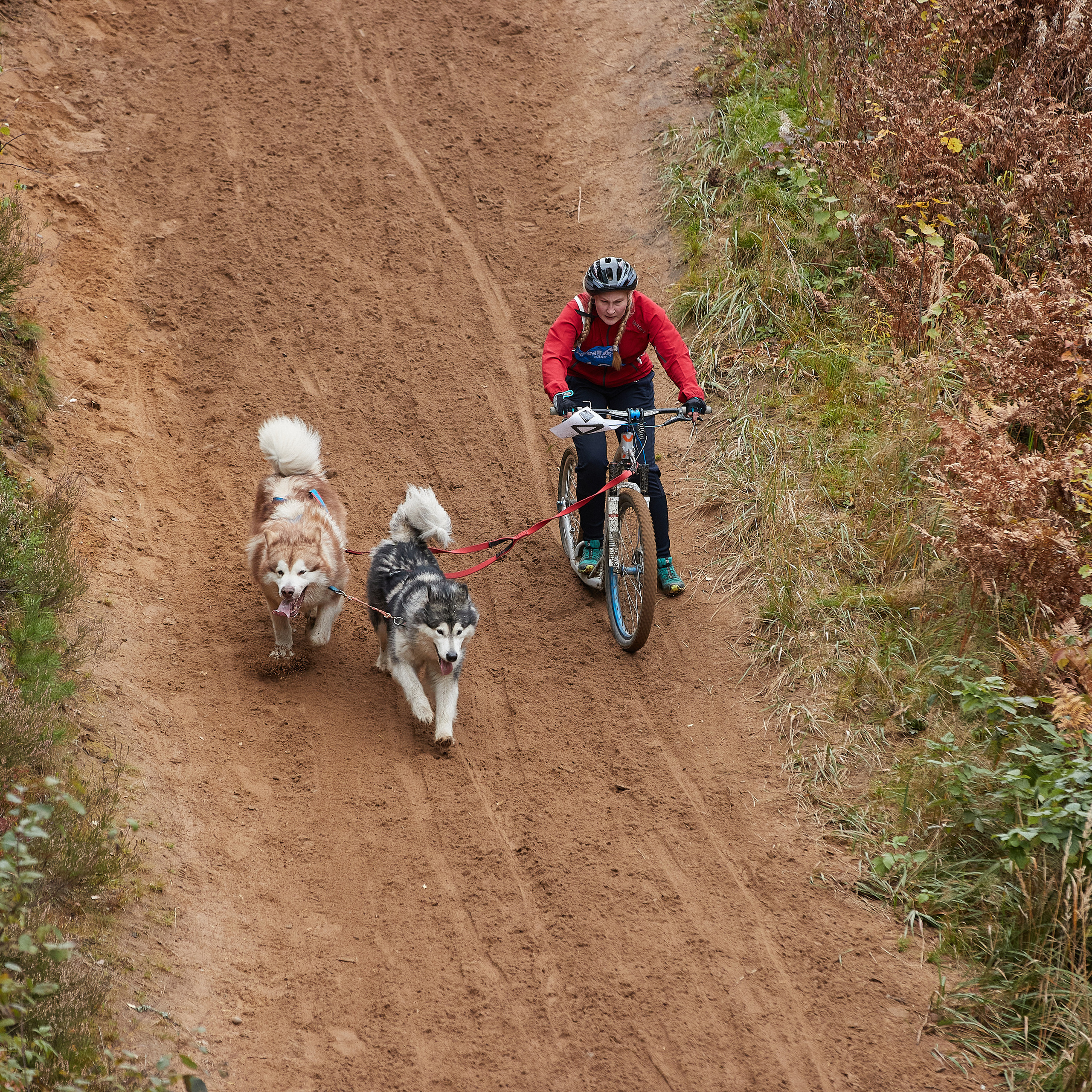 ЧЕМПИОНАТ РОССИИ РКФ 25–26 сентября 2021 г. ФОТОГРАФ-АНИМАЛИСТ l LANA POLYAKOVA