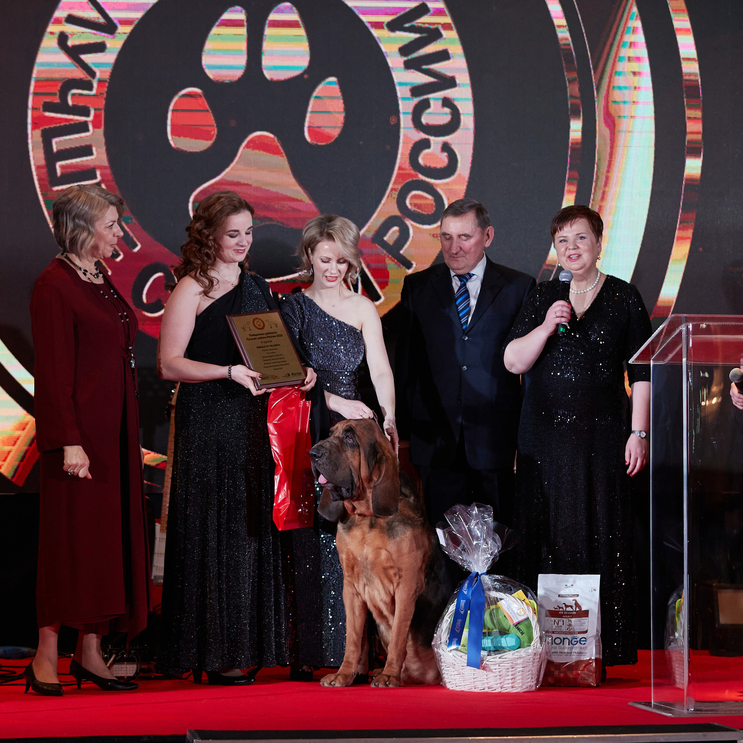 Репортаж с церемонии «BEST RUSSIAN DOG 2022». ФОТОГРАФ-АНИМАЛИСТ l LANA POLYAKOVA