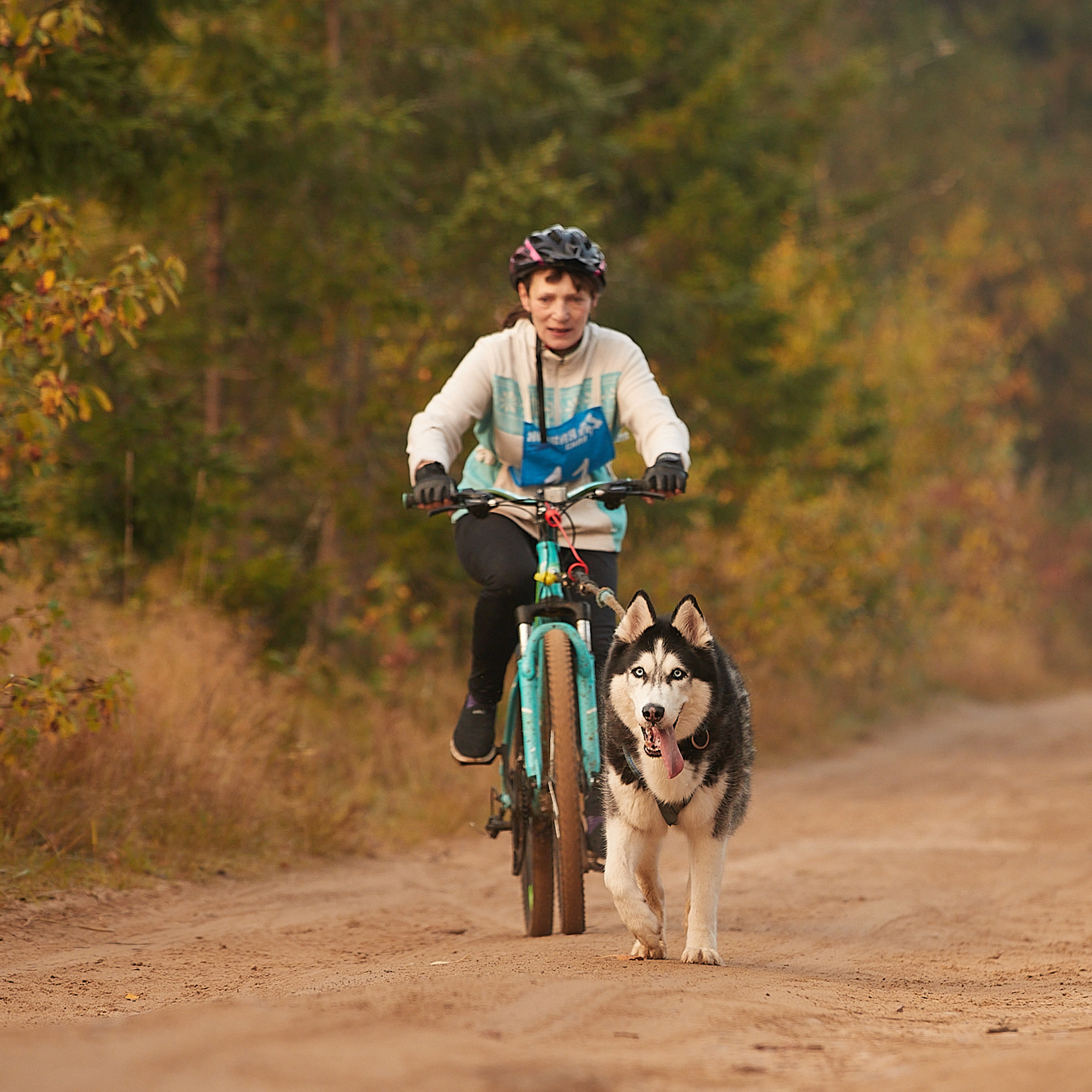 ЧЕМПИОНАТ РОССИИ РКФ 27 сентября 2020 г., 2й день. ФОТОГРАФ-АНИМАЛИСТ l LANA POLYAKOVA