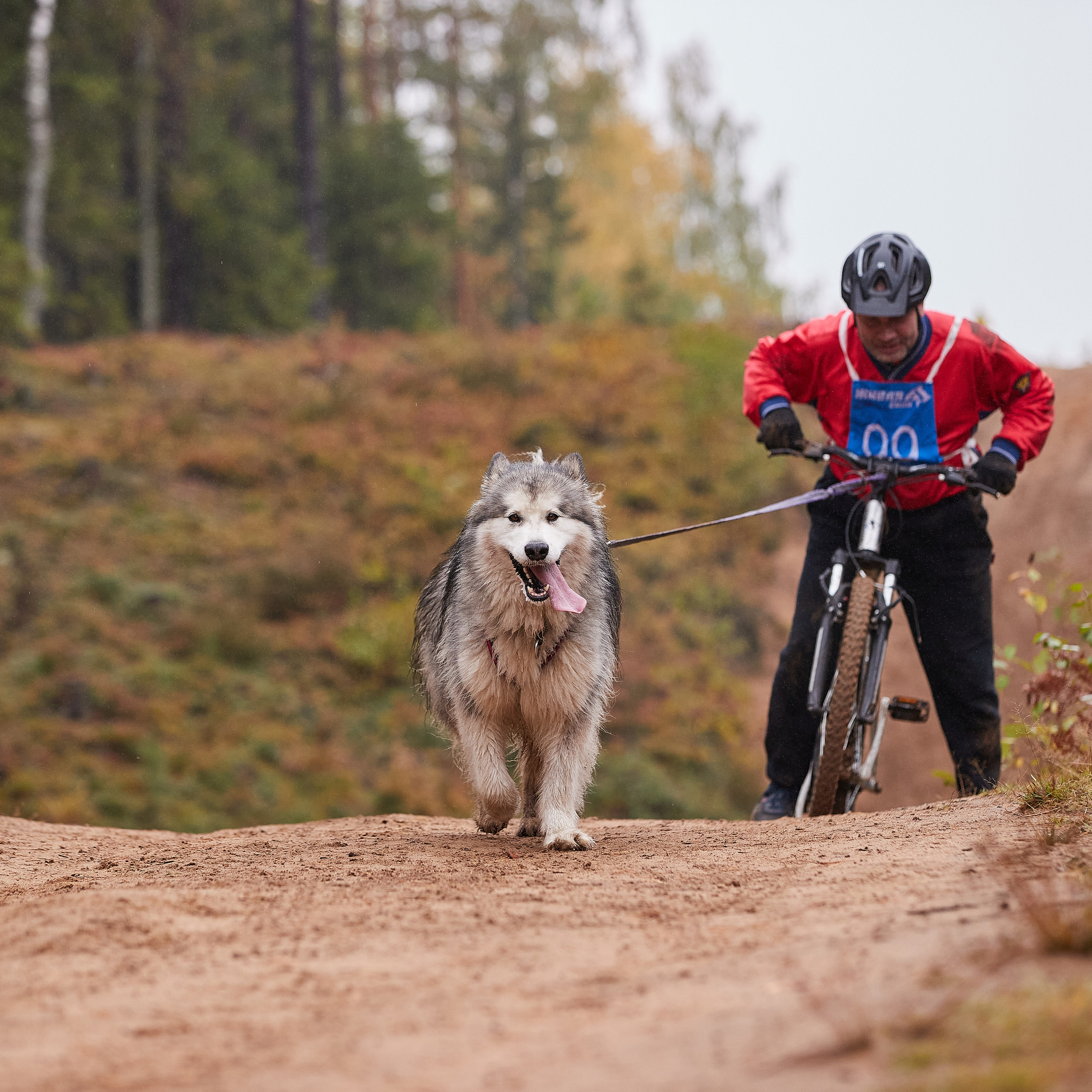 ЧЕМПИОНАТ РОССИИ РКФ 25–26 сентября 2021 г. ФОТОГРАФ-АНИМАЛИСТ l LANA POLYAKOVA