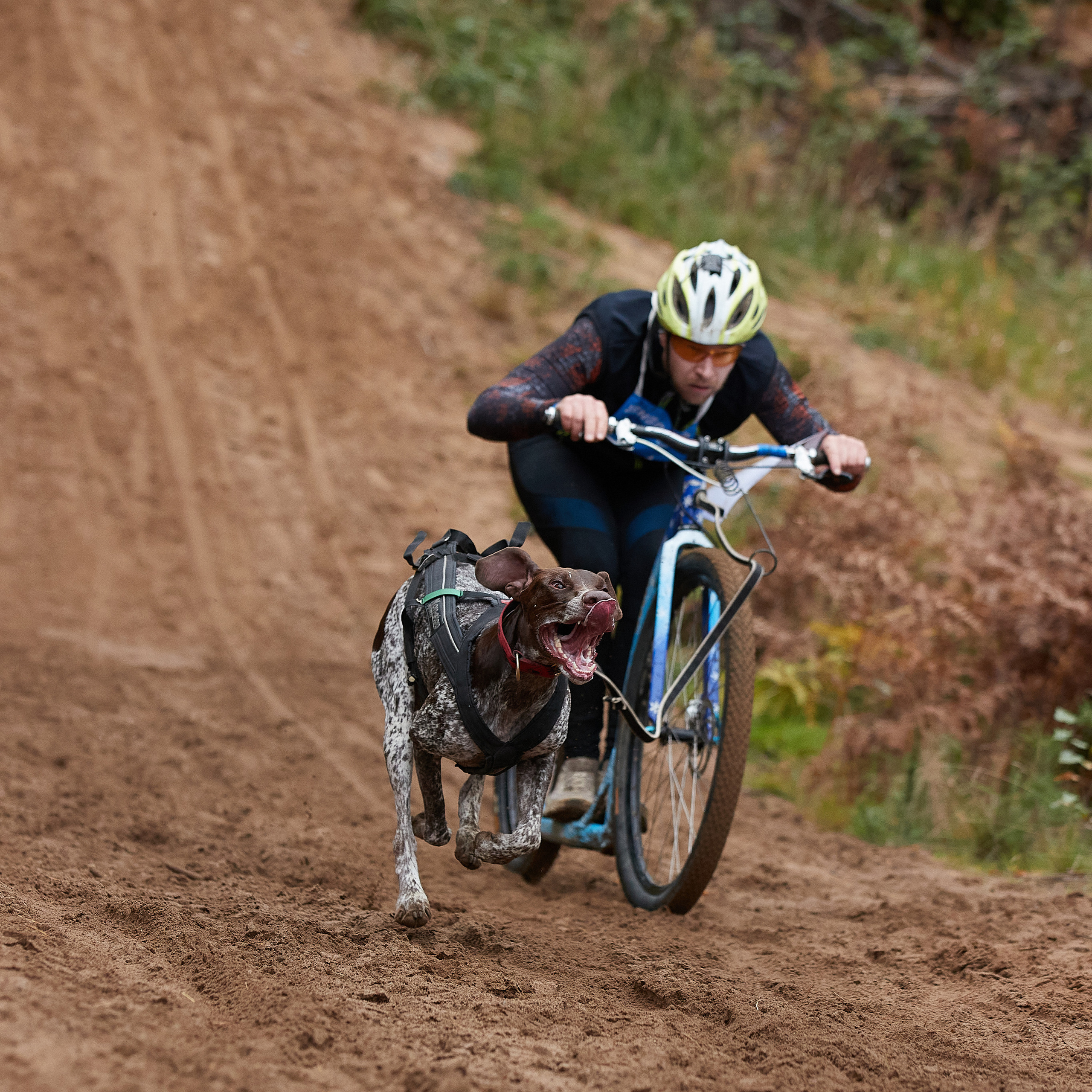 ЧЕМПИОНАТ РОССИИ РКФ 25–26 сентября 2021 г. ФОТОГРАФ-АНИМАЛИСТ l LANA POLYAKOVA