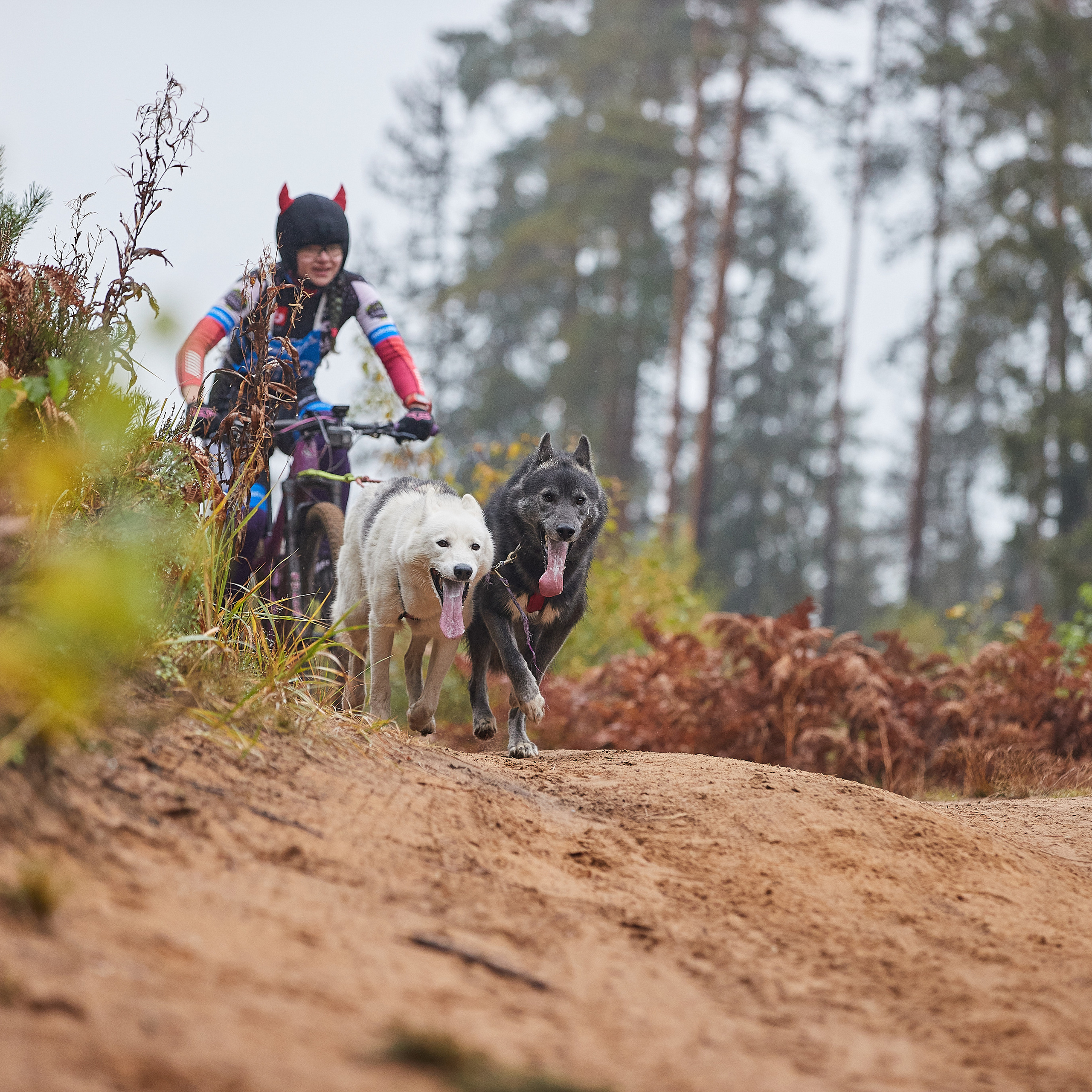 ЧЕМПИОНАТ РОССИИ РКФ 25–26 сентября 2021 г. ФОТОГРАФ-АНИМАЛИСТ l LANA POLYAKOVA