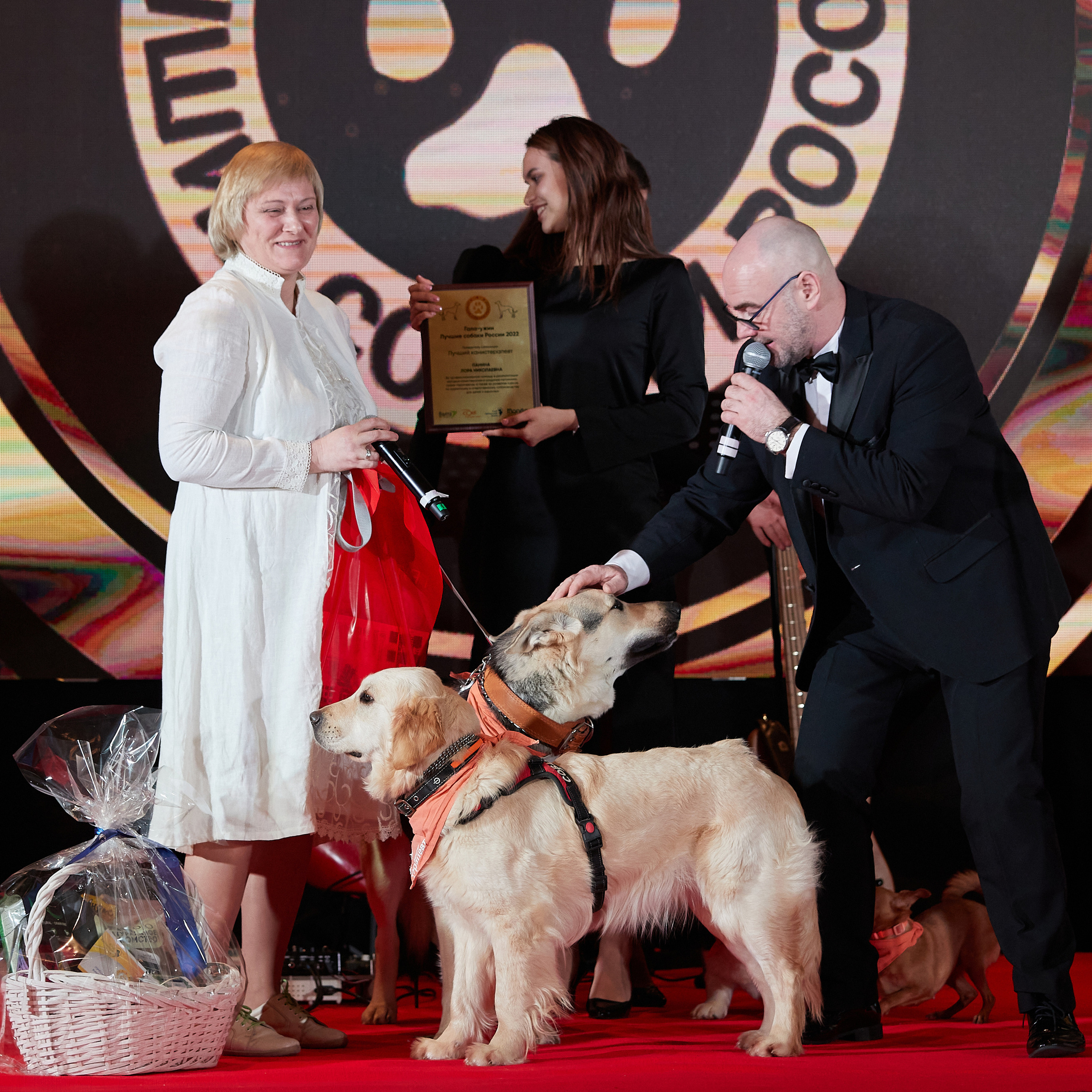 Репортаж с церемонии «BEST RUSSIAN DOG 2022». ФОТОГРАФ-АНИМАЛИСТ l LANA POLYAKOVA