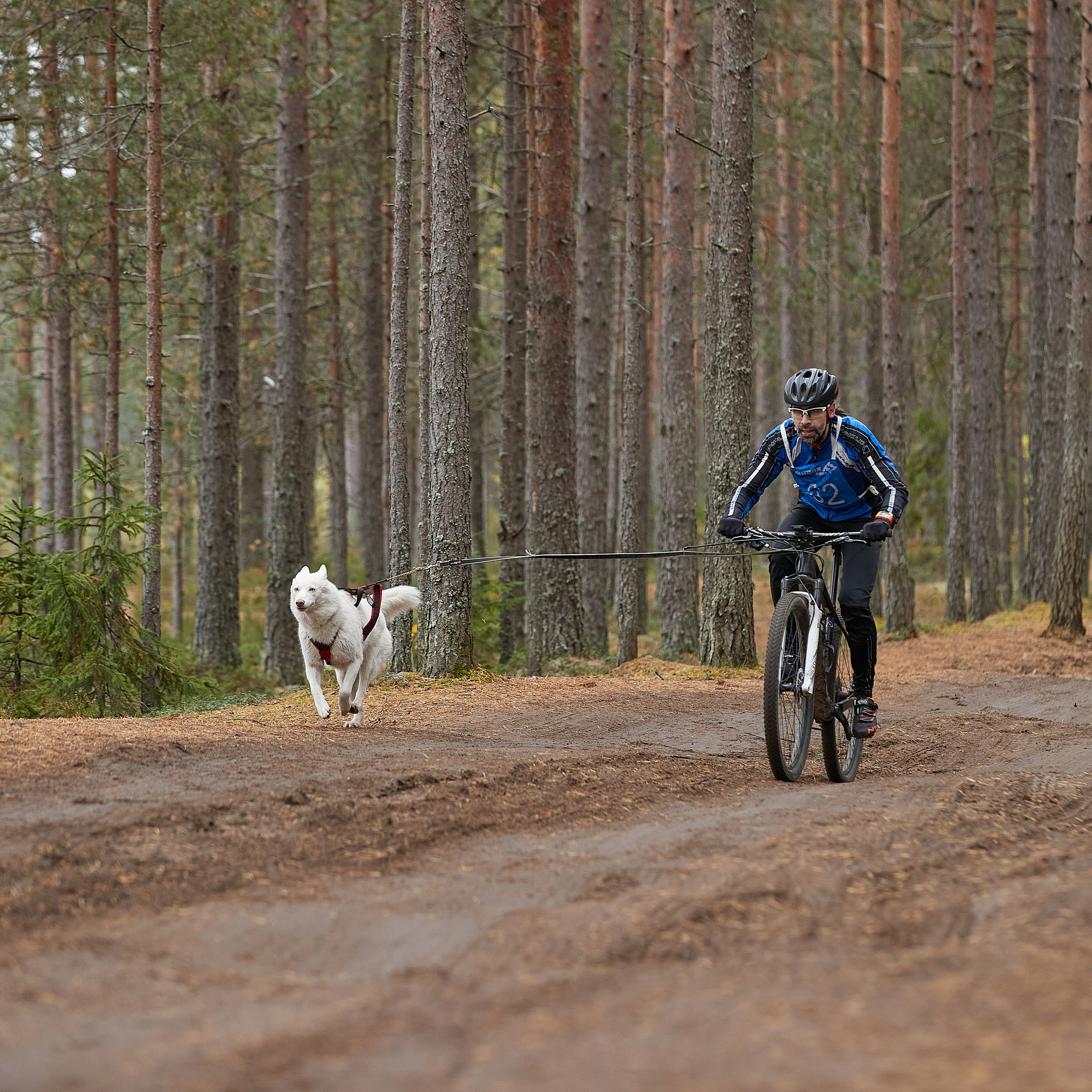 ЧЕМПИОНАТ РОССИИ РКФ 25–26 сентября 2021 г. ФОТОГРАФ-АНИМАЛИСТ l LANA POLYAKOVA