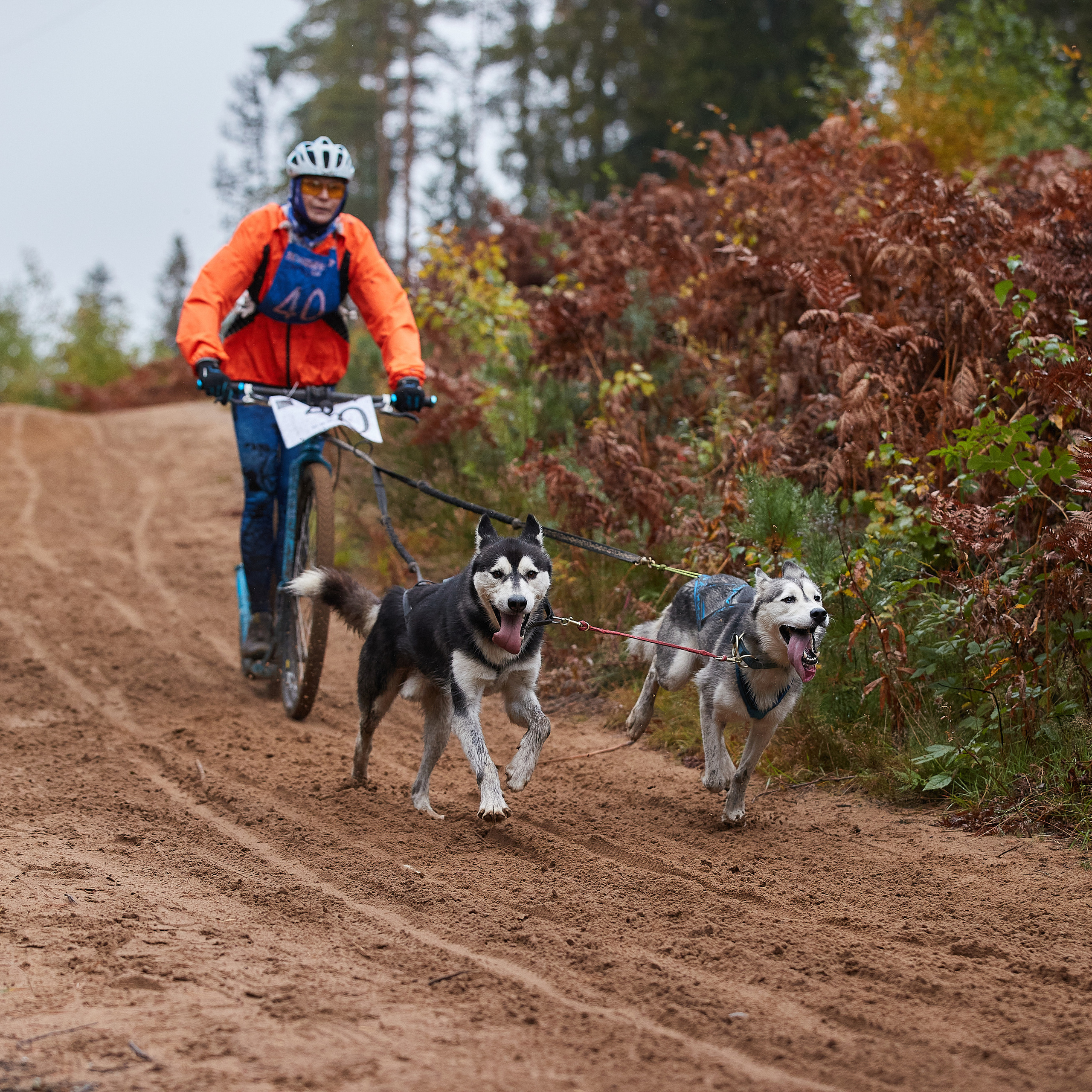 ЧЕМПИОНАТ РОССИИ РКФ 25–26 сентября 2021 г. ФОТОГРАФ-АНИМАЛИСТ l LANA POLYAKOVA