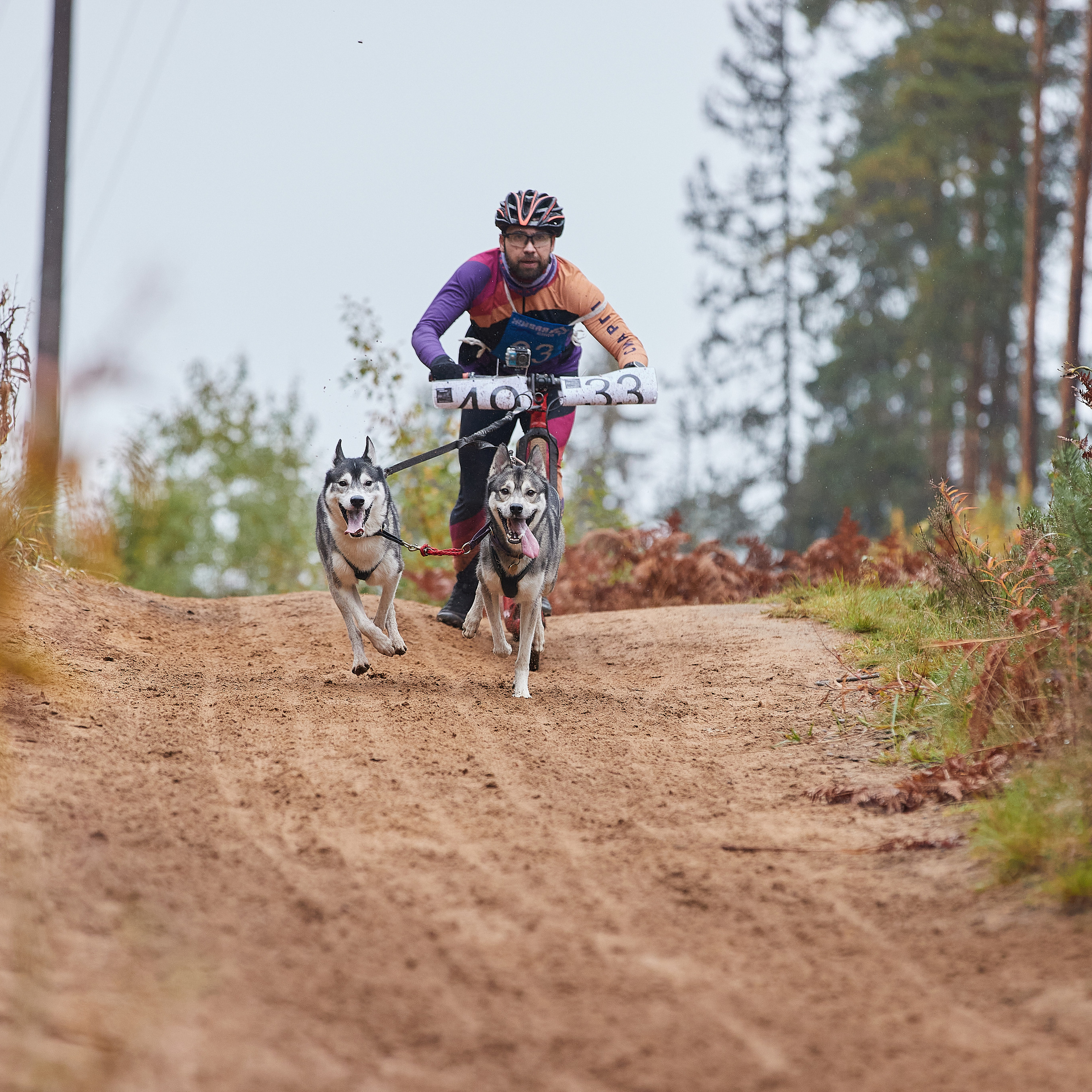 ЧЕМПИОНАТ РОССИИ РКФ 25–26 сентября 2021 г. ФОТОГРАФ-АНИМАЛИСТ l LANA POLYAKOVA