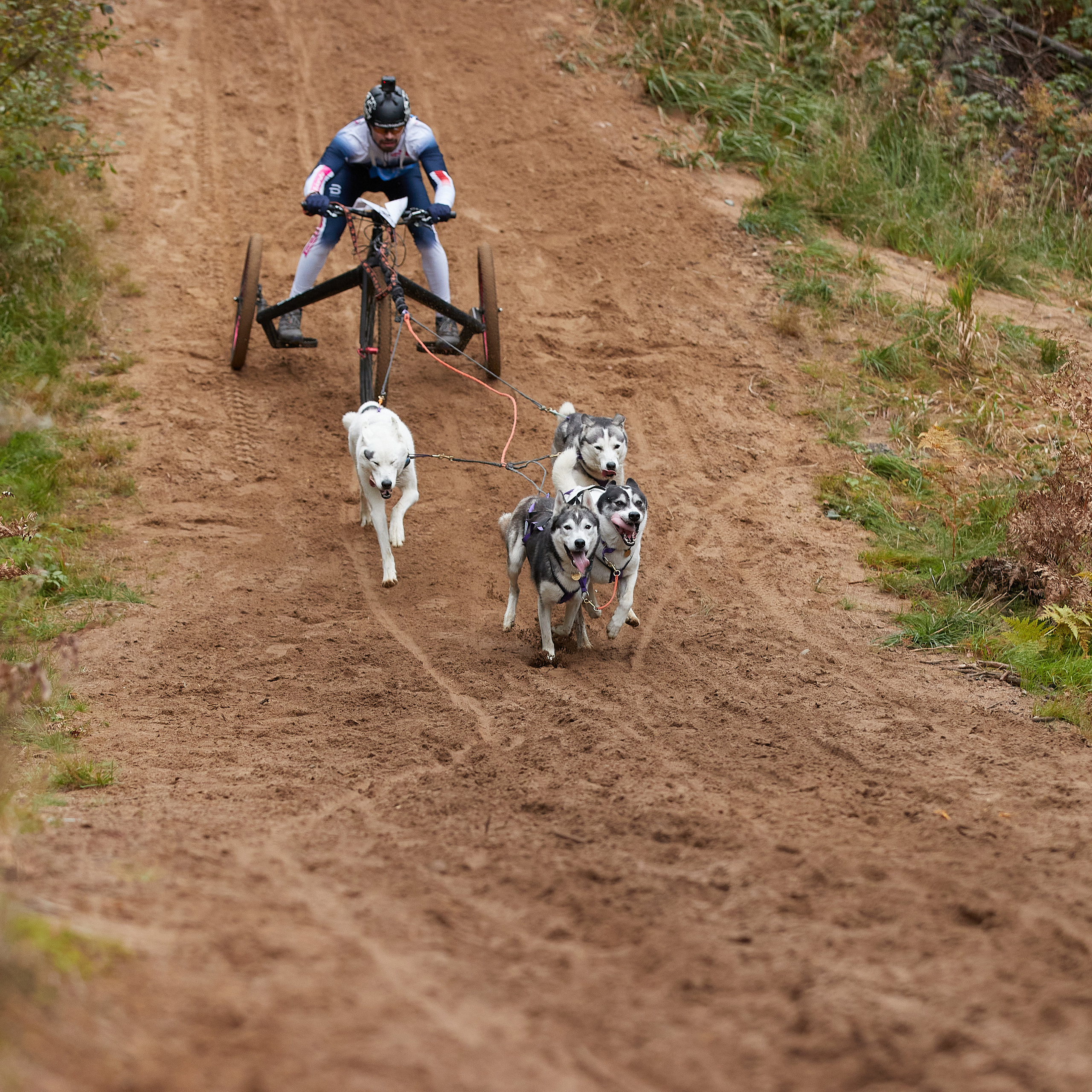 ЧЕМПИОНАТ РОССИИ РКФ 25–26 сентября 2021 г. ФОТОГРАФ-АНИМАЛИСТ l LANA POLYAKOVA