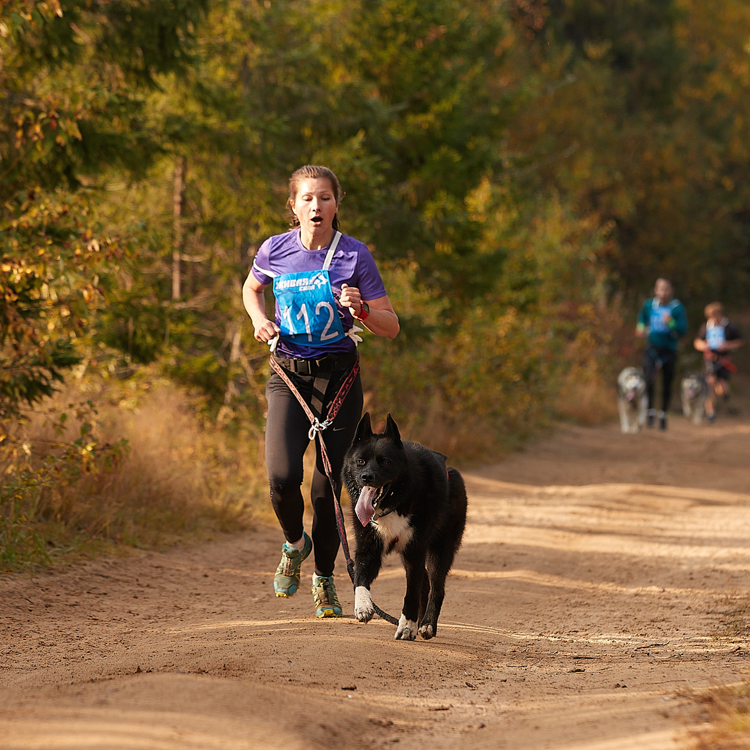 ЧЕМПИОНАТ РОССИИ РКФ 27 сентября 2020 г., 2й день. ФОТОГРАФ-АНИМАЛИСТ l LANA POLYAKOVA