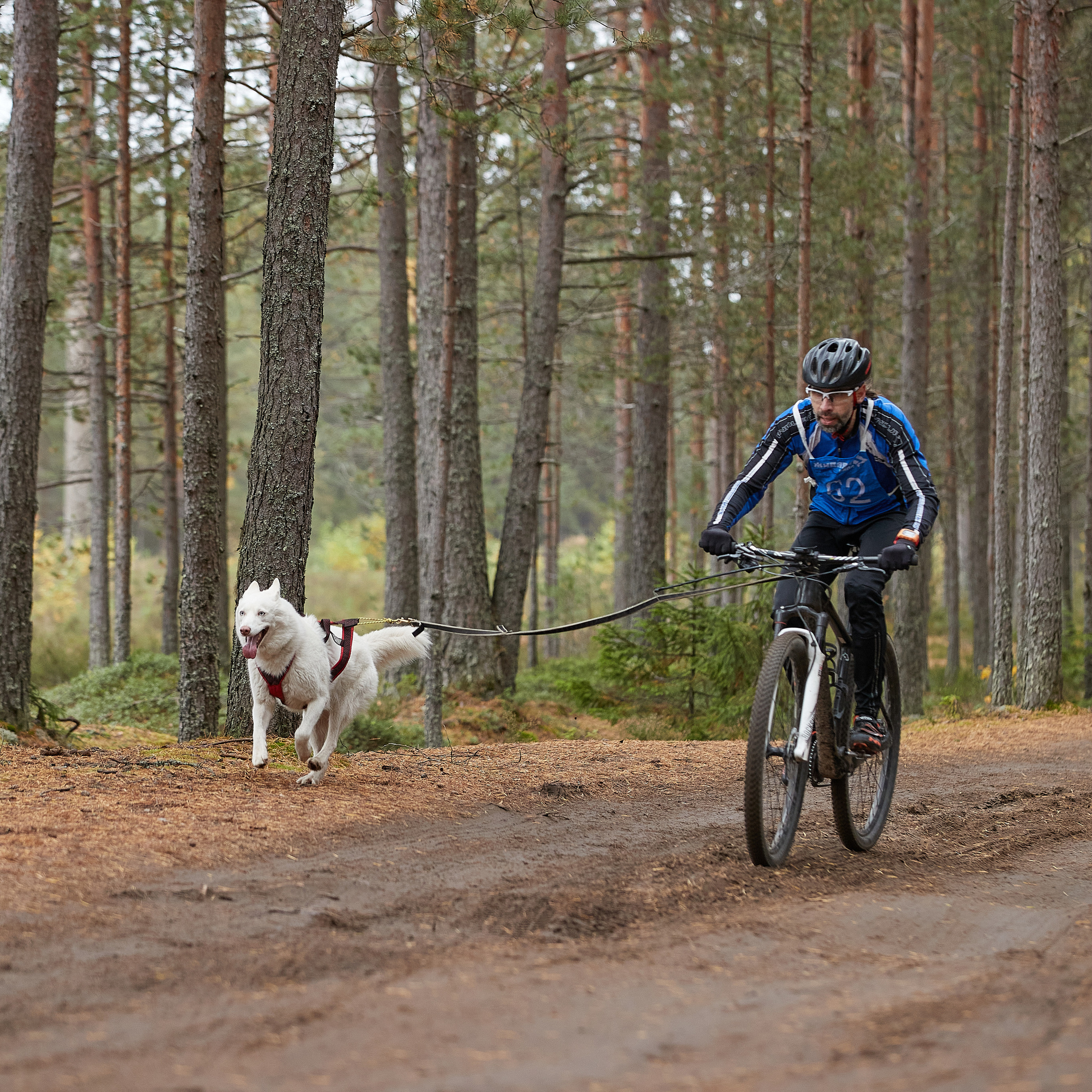 ЧЕМПИОНАТ РОССИИ РКФ 25–26 сентября 2021 г. ФОТОГРАФ-АНИМАЛИСТ l LANA POLYAKOVA