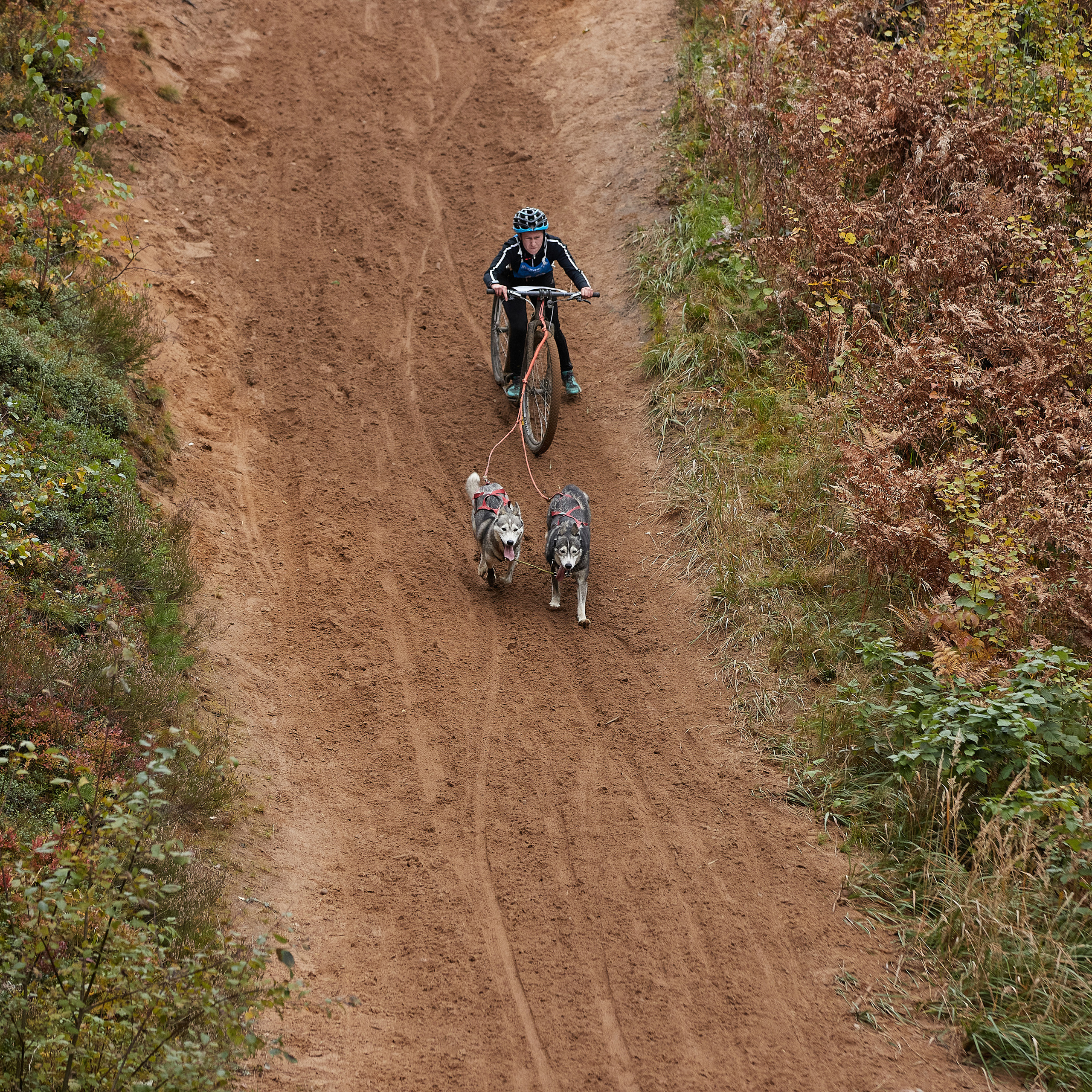 ЧЕМПИОНАТ РОССИИ РКФ 25–26 сентября 2021 г. ФОТОГРАФ-АНИМАЛИСТ l LANA POLYAKOVA