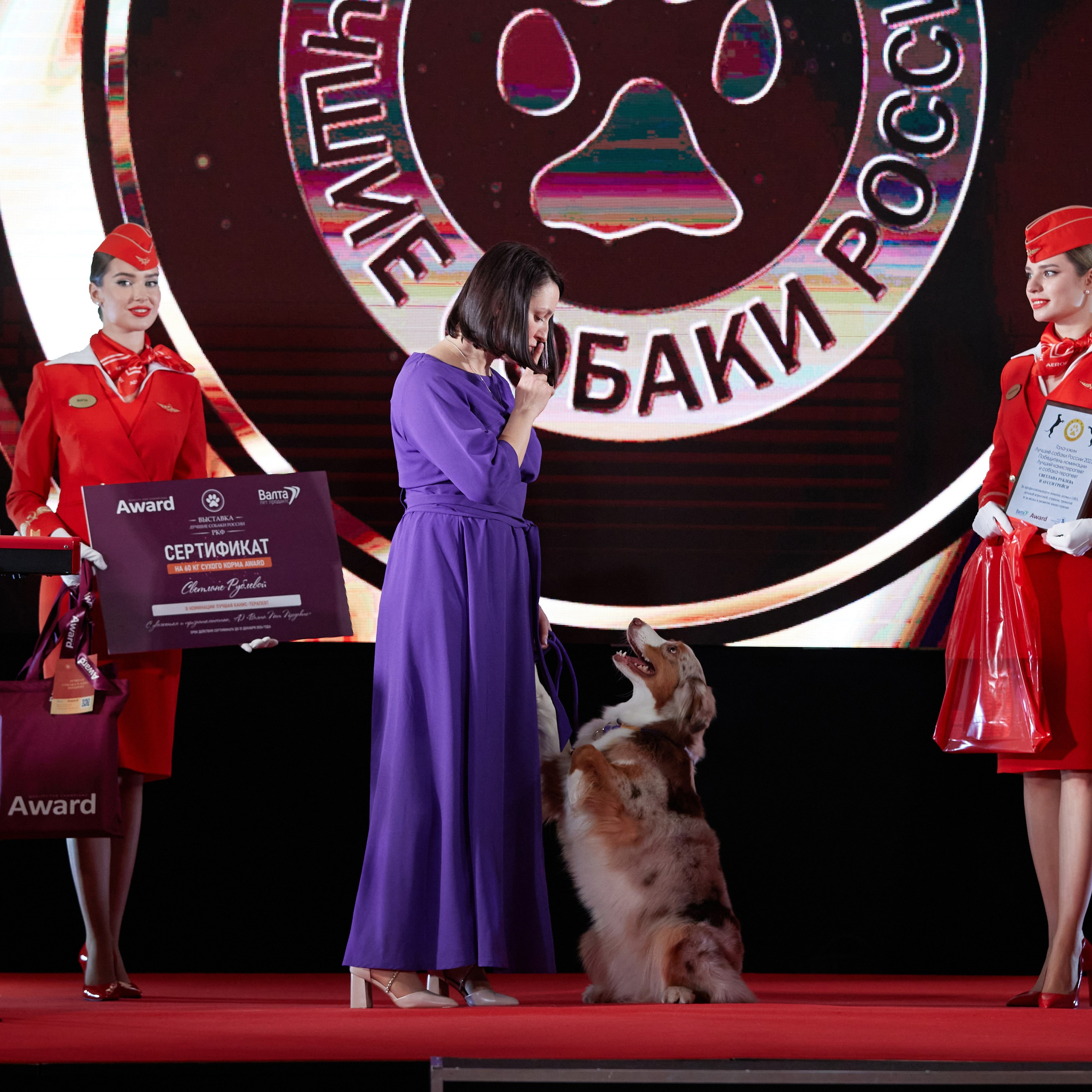Репортаж с церемонии «BEST RUSSIAN DOG 2023». ФОТОГРАФ-АНИМАЛИСТ l LANA POLYAKOVA
