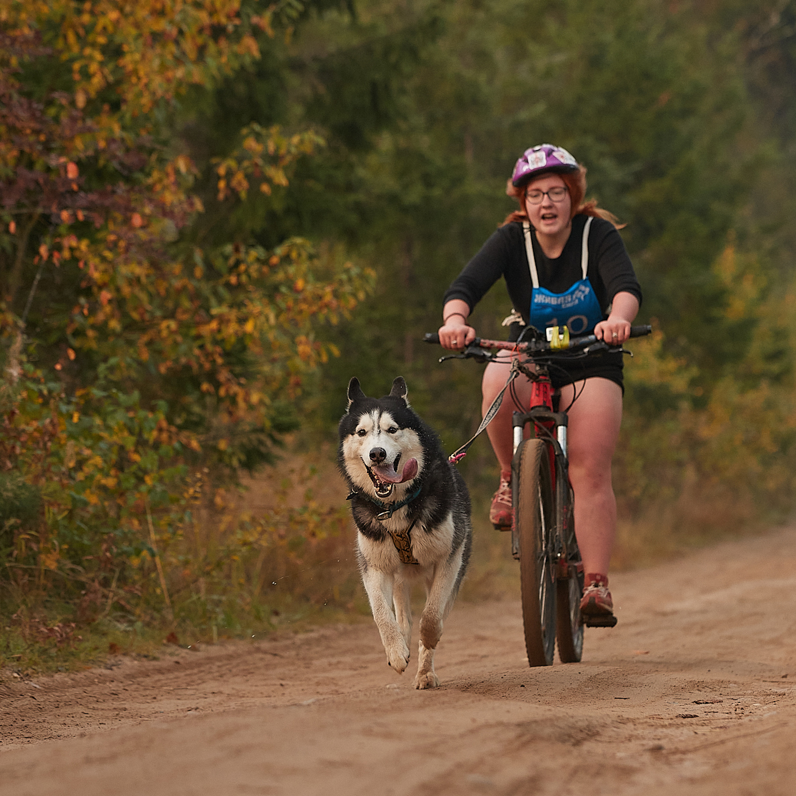ЧЕМПИОНАТ РОССИИ РКФ 27 сентября 2020 г., 2й день. ФОТОГРАФ-АНИМАЛИСТ l LANA POLYAKOVA