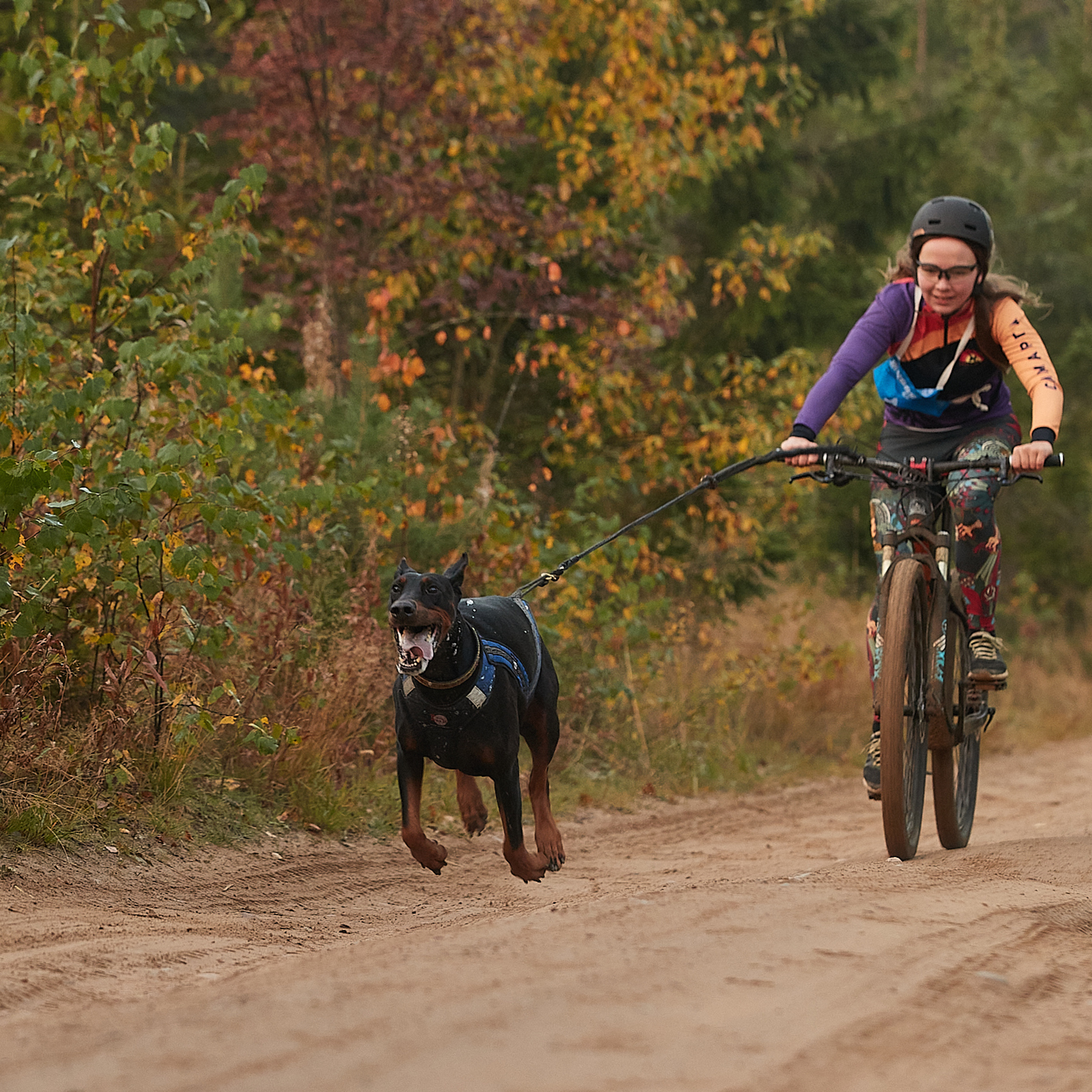 ЧЕМПИОНАТ РОССИИ РКФ 27 сентября 2020 г., 2й день. ФОТОГРАФ-АНИМАЛИСТ l LANA POLYAKOVA