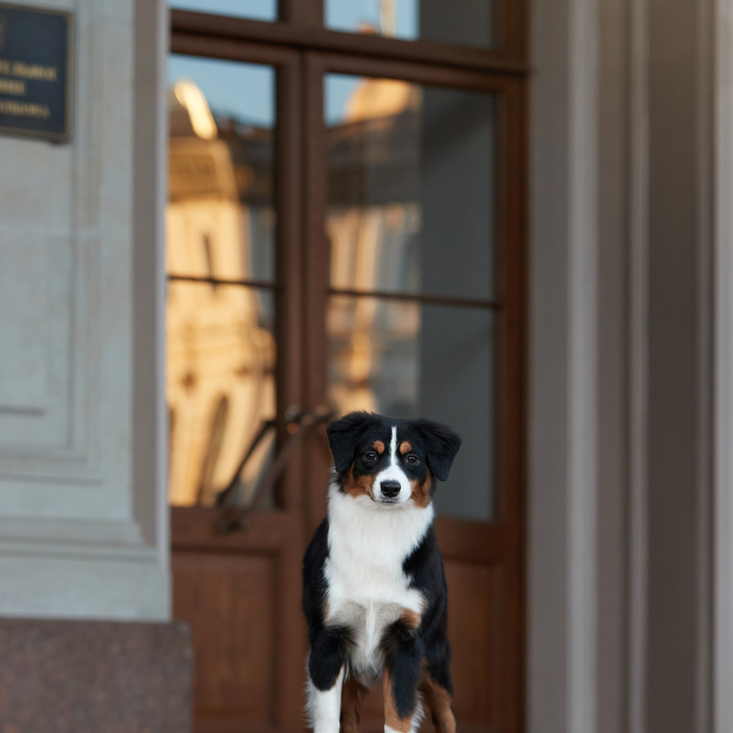 Большая рассветно-закатная съемка. ФОТОГРАФ-АНИМАЛИСТ l LANA POLYAKOVA