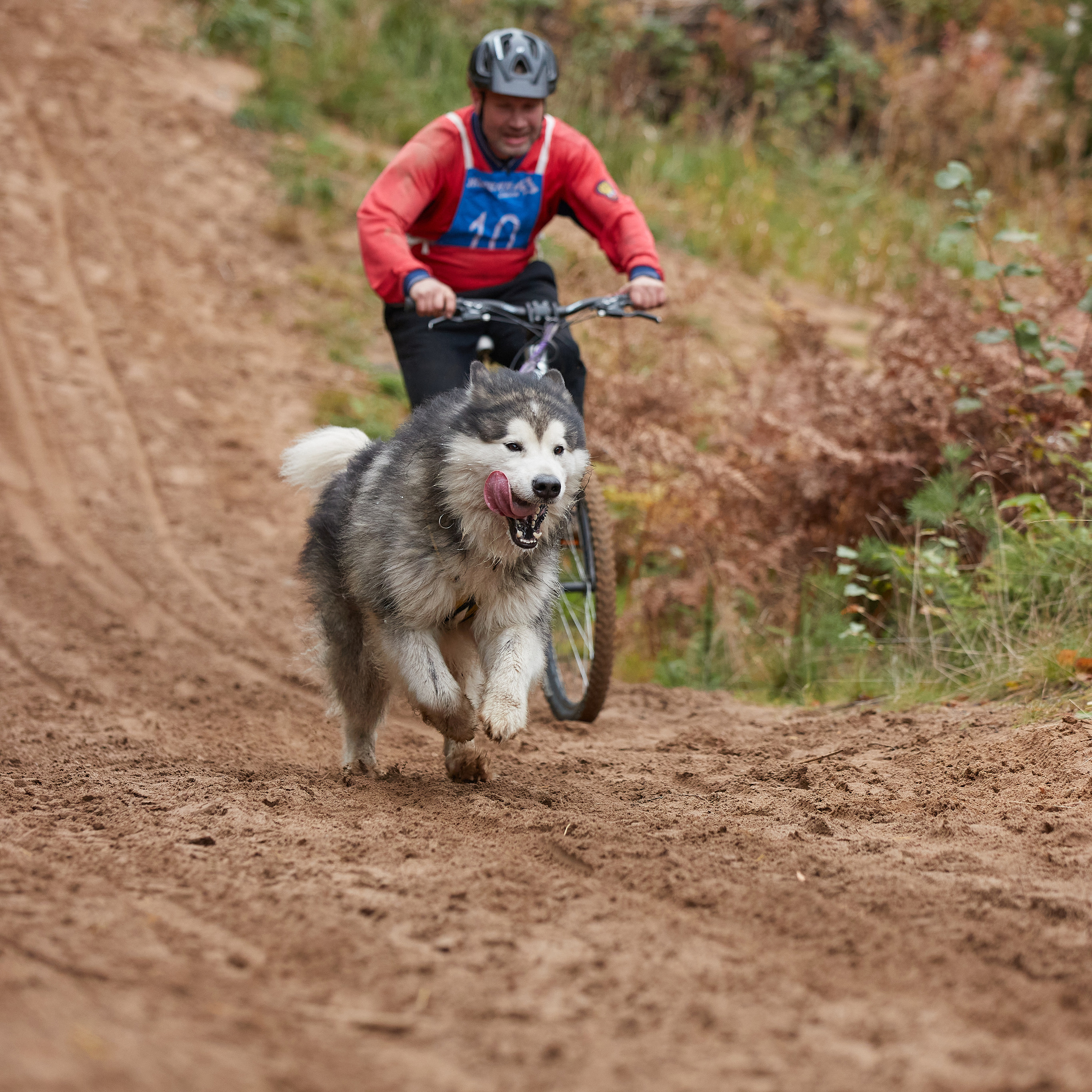 ЧЕМПИОНАТ РОССИИ РКФ 25–26 сентября 2021 г. ФОТОГРАФ-АНИМАЛИСТ l LANA POLYAKOVA