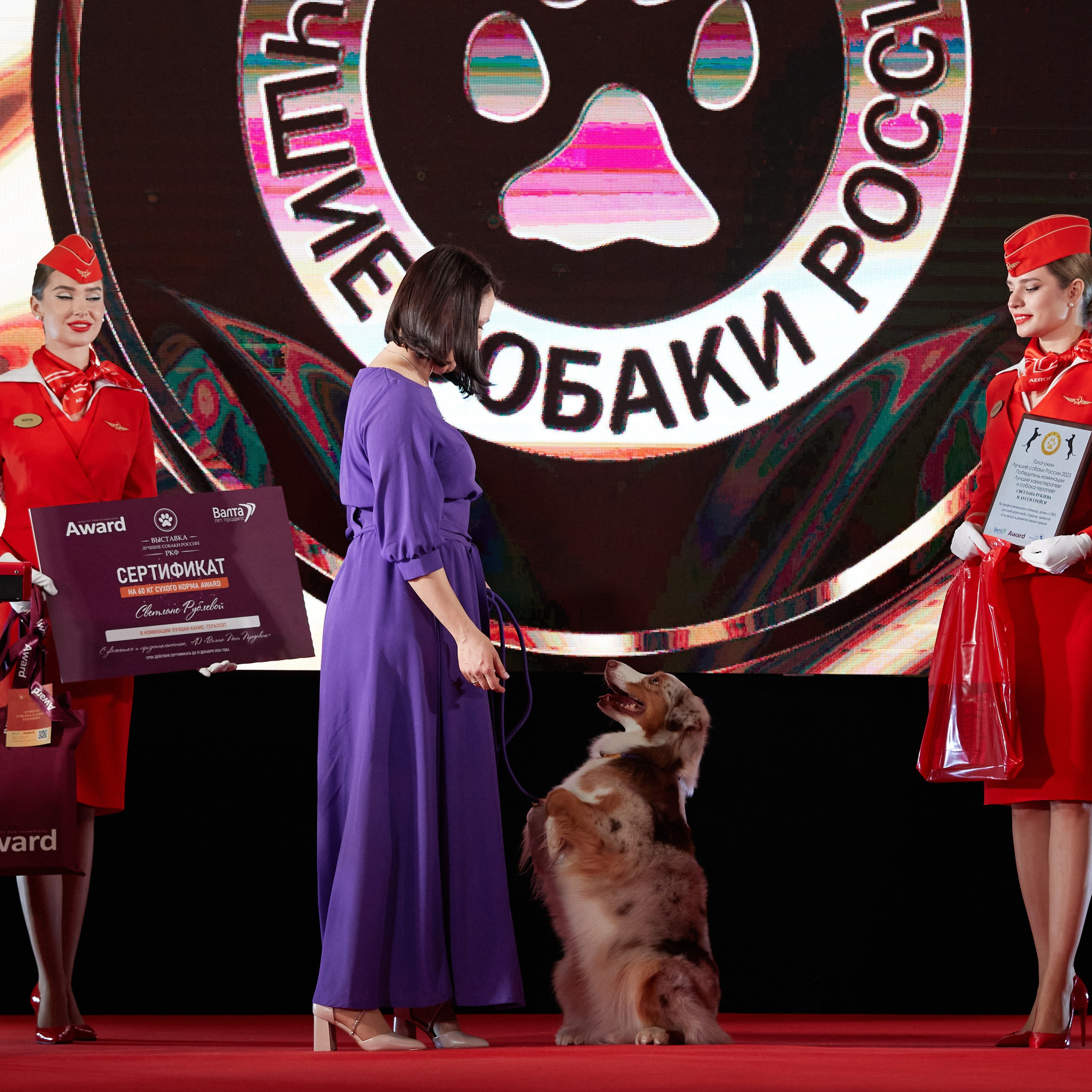 Репортаж с церемонии «BEST RUSSIAN DOG 2023». ФОТОГРАФ-АНИМАЛИСТ l LANA POLYAKOVA