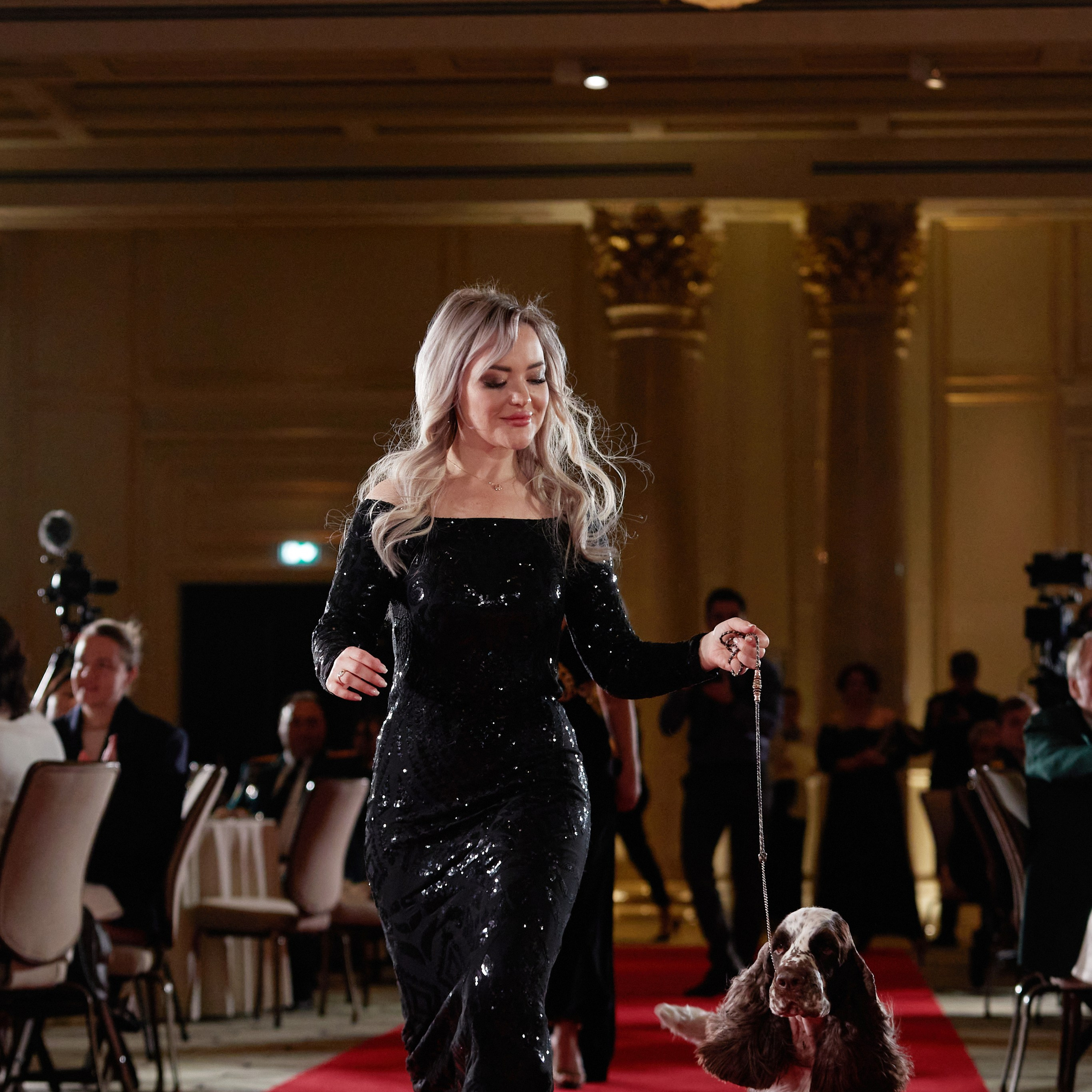 Репортаж с церемонии «BEST RUSSIAN DOG 2023». ФОТОГРАФ-АНИМАЛИСТ l LANA POLYAKOVA