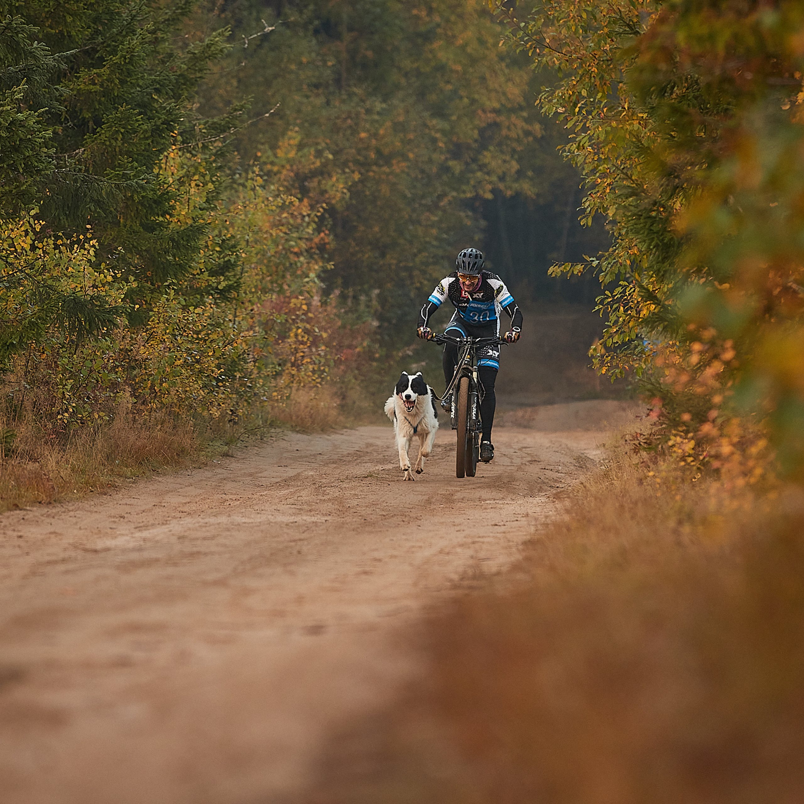 ЧЕМПИОНАТ РОССИИ РКФ 27 сентября 2020 г., 2й день. ФОТОГРАФ-АНИМАЛИСТ l LANA POLYAKOVA