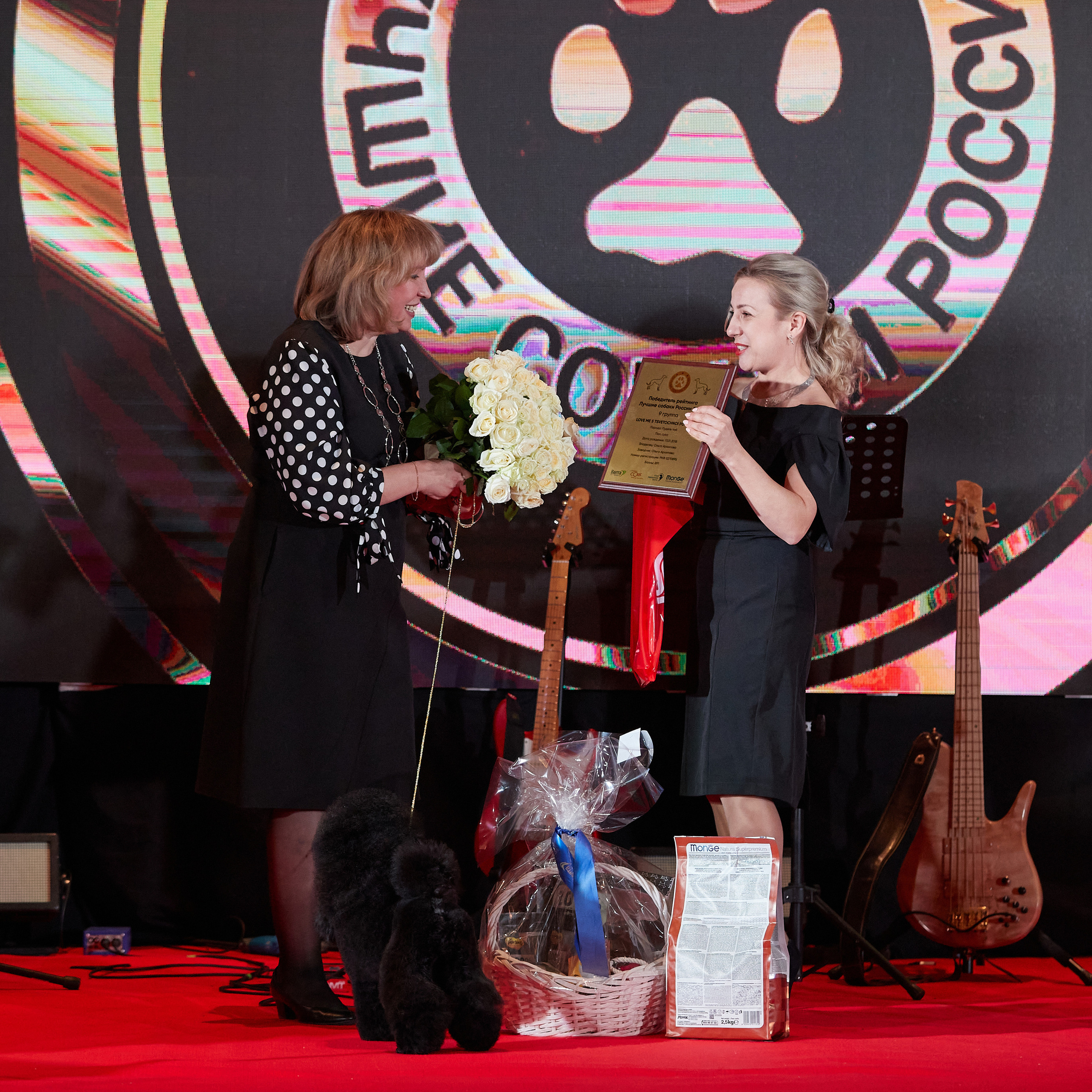 Репортаж с церемонии «BEST RUSSIAN DOG 2022». ФОТОГРАФ-АНИМАЛИСТ l LANA POLYAKOVA