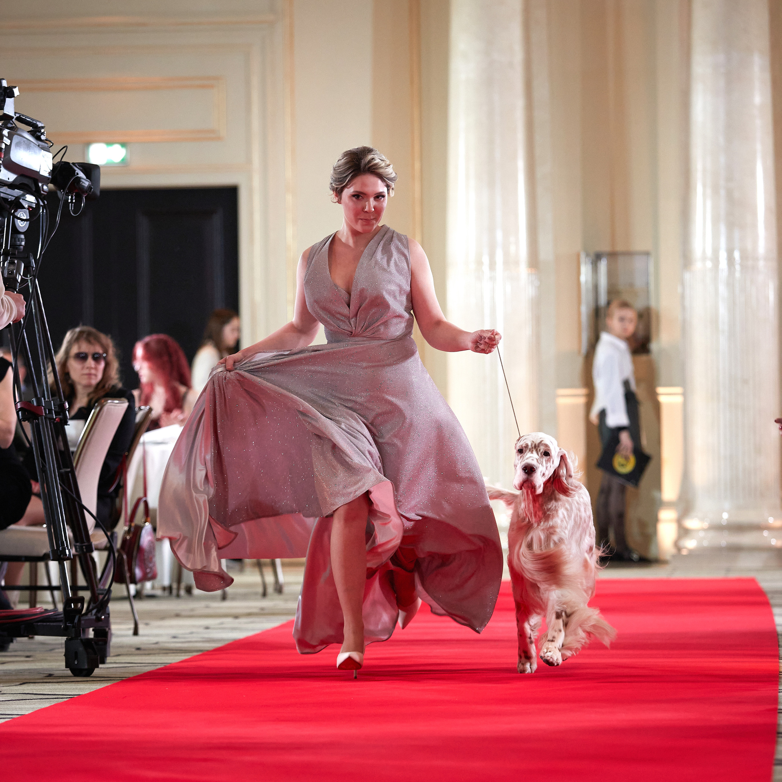 Репортаж с церемонии «BEST RUSSIAN DOG 2022». ФОТОГРАФ-АНИМАЛИСТ l LANA POLYAKOVA