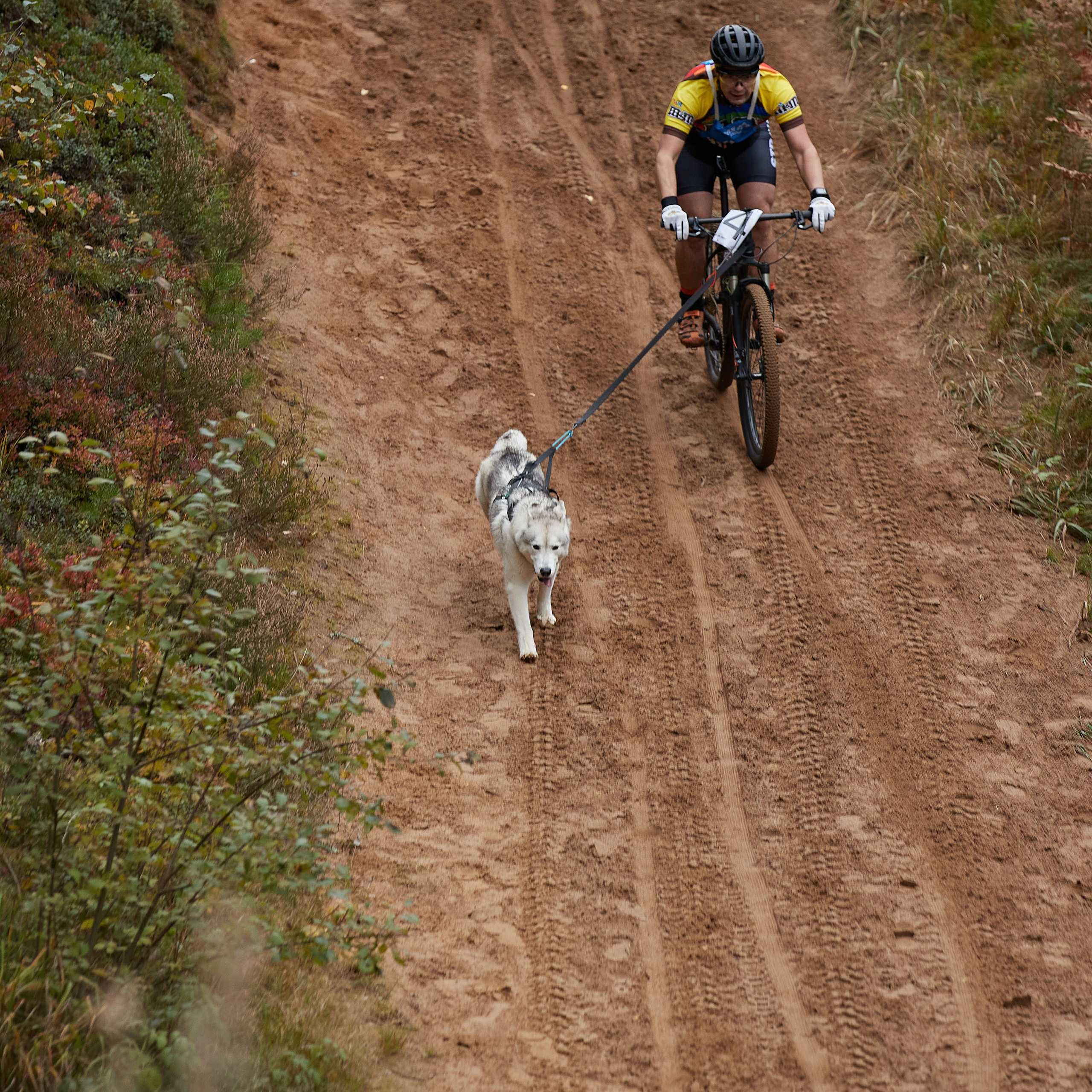 ЧЕМПИОНАТ РОССИИ РКФ 25–26 сентября 2021 г. ФОТОГРАФ-АНИМАЛИСТ l LANA POLYAKOVA