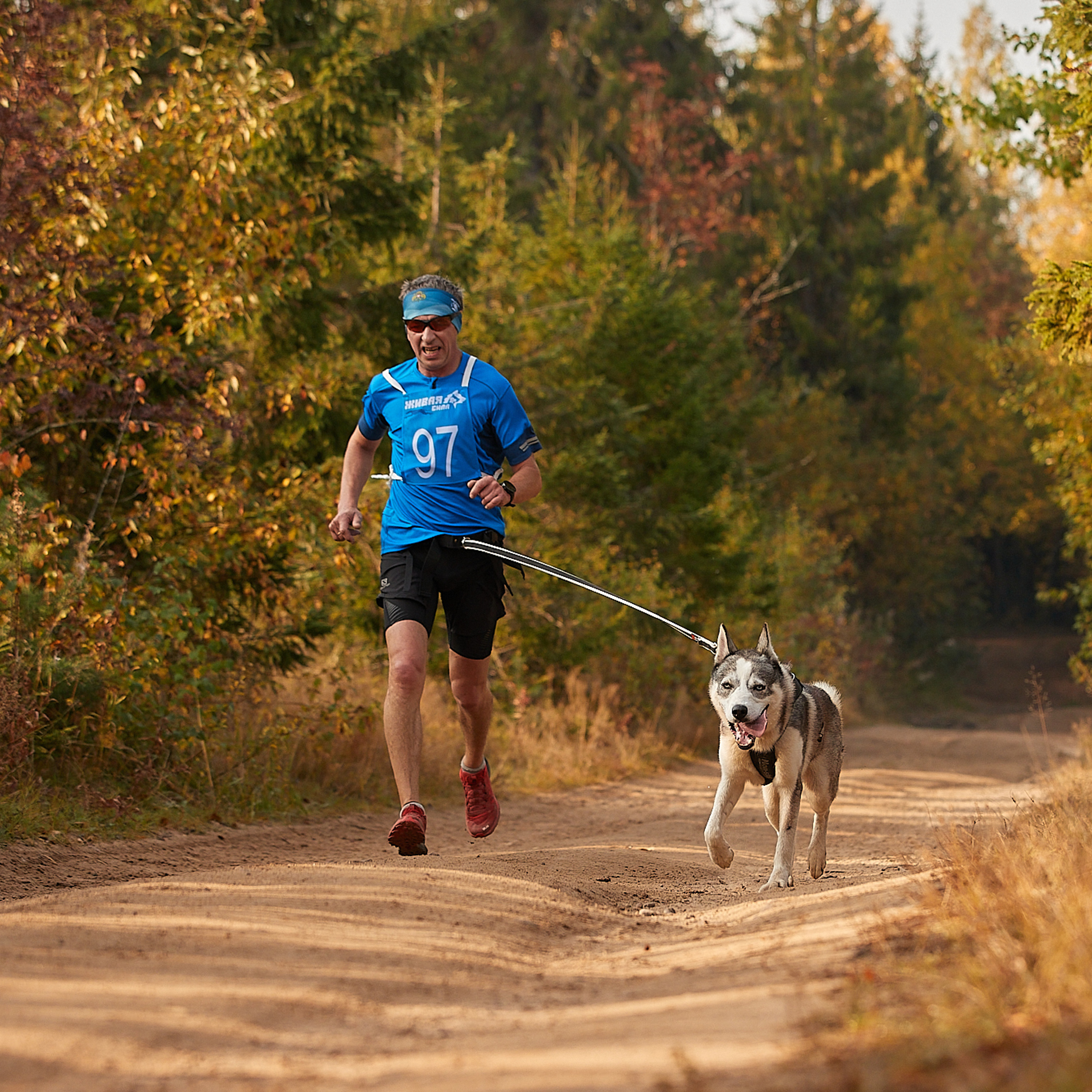 ЧЕМПИОНАТ РОССИИ РКФ 27 сентября 2020 г., 2й день. ФОТОГРАФ-АНИМАЛИСТ l LANA POLYAKOVA