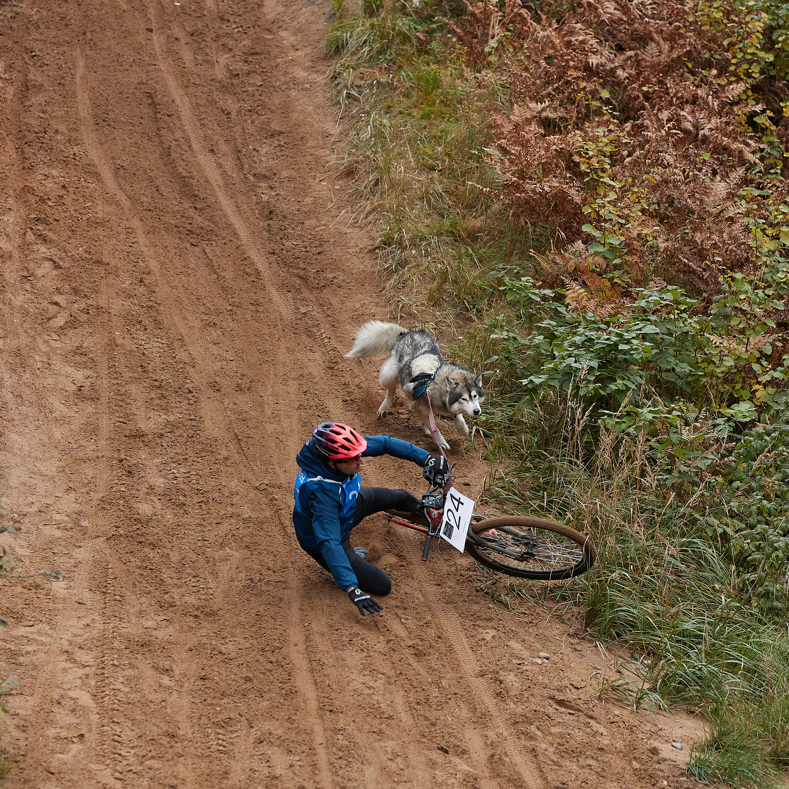 ЧЕМПИОНАТ РОССИИ РКФ 25–26 сентября 2021 г. ФОТОГРАФ-АНИМАЛИСТ l LANA POLYAKOVA