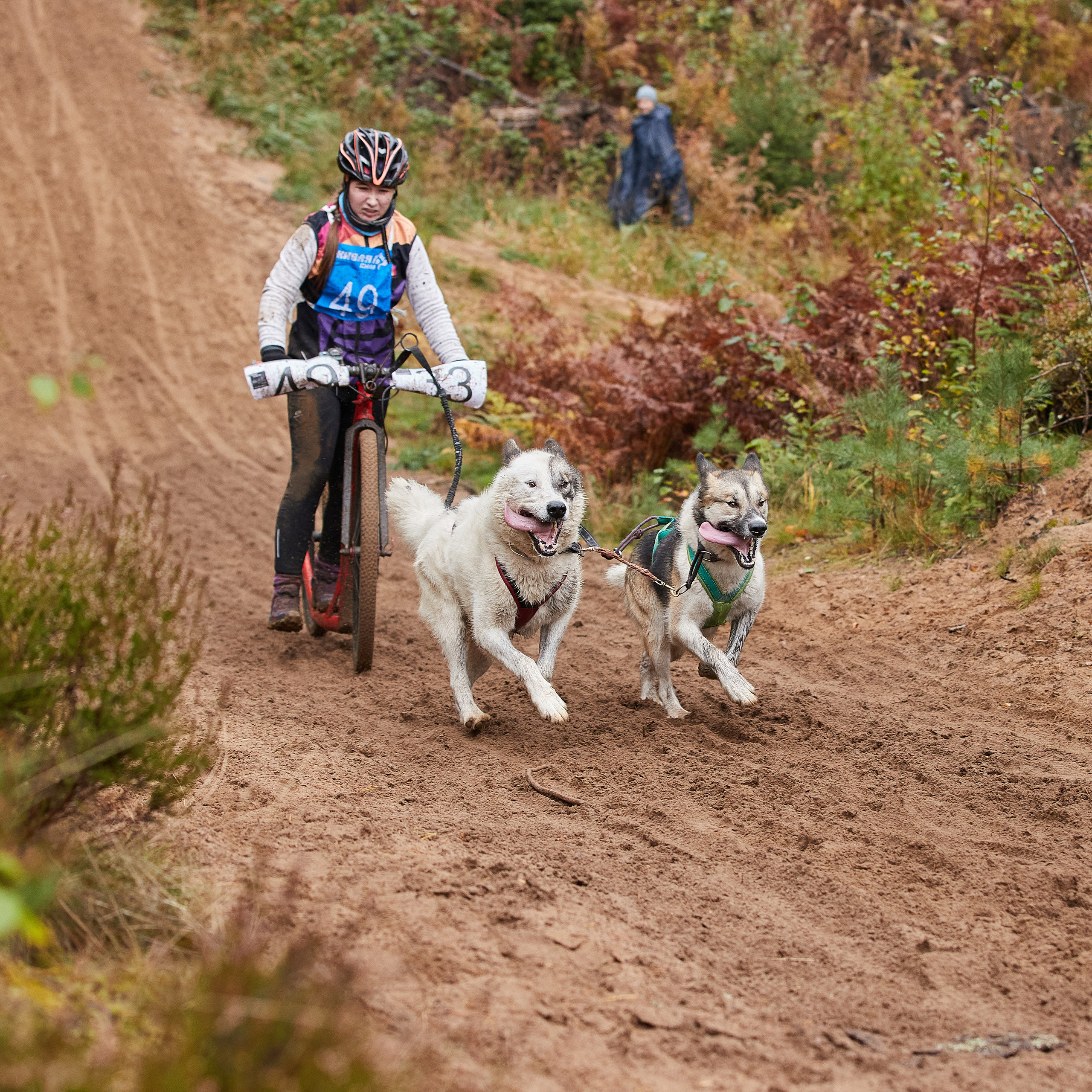 ЧЕМПИОНАТ РОССИИ РКФ 25–26 сентября 2021 г. ФОТОГРАФ-АНИМАЛИСТ l LANA POLYAKOVA