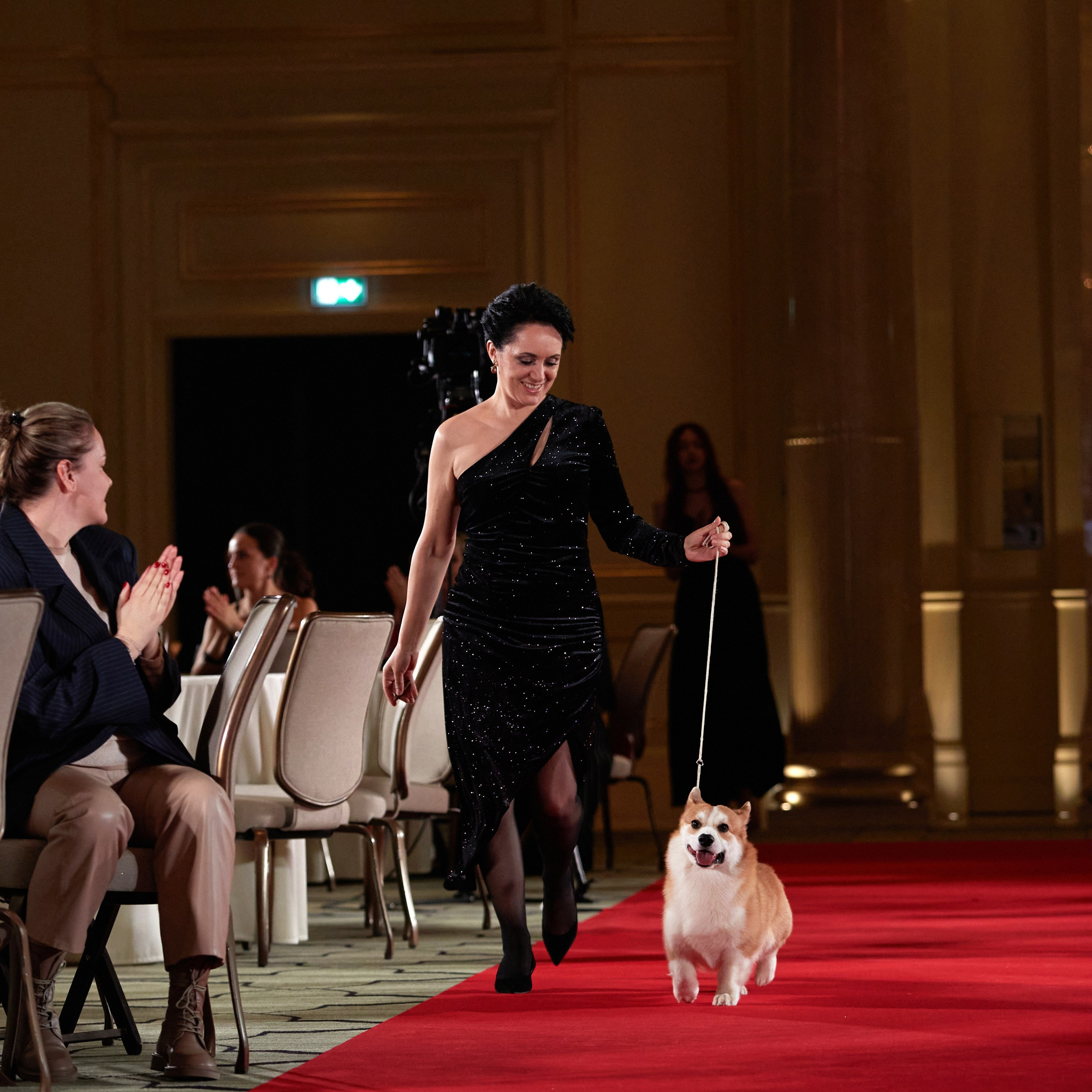 Репортаж с церемонии «BEST RUSSIAN DOG 2023». ФОТОГРАФ-АНИМАЛИСТ l LANA POLYAKOVA