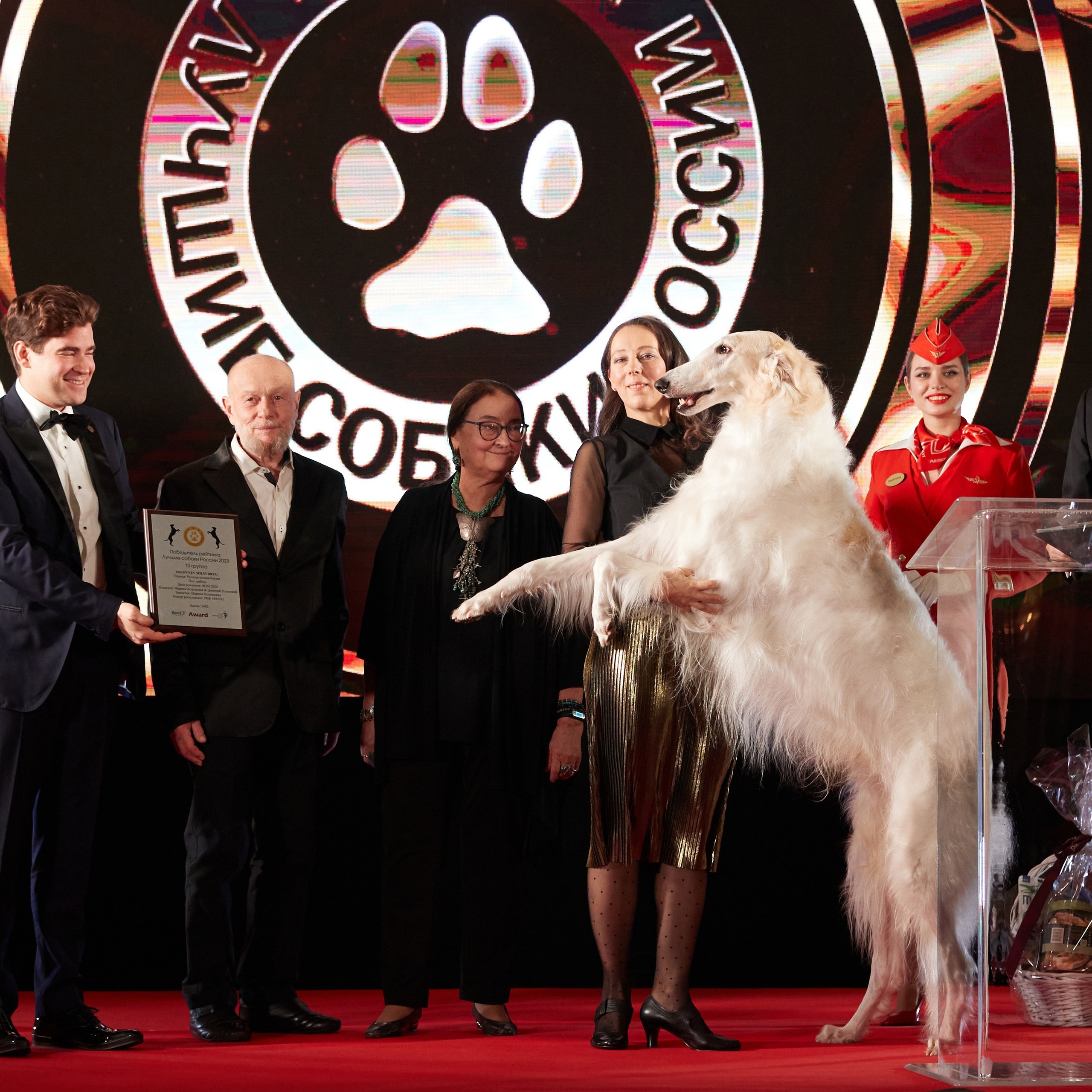 Репортаж с церемонии «BEST RUSSIAN DOG 2023». ФОТОГРАФ-АНИМАЛИСТ l LANA POLYAKOVA