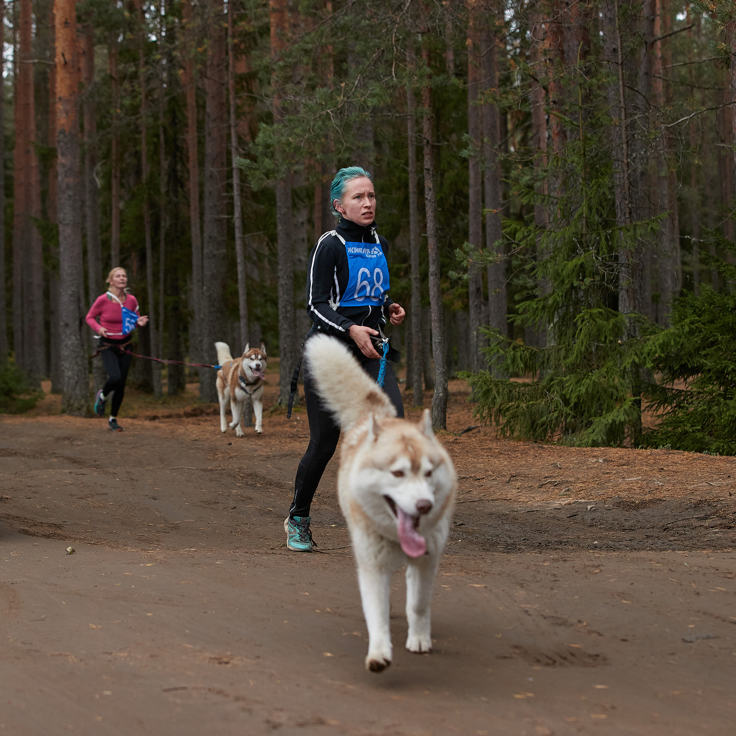 ЧЕМПИОНАТ РОССИИ РКФ 25–26 сентября 2021 г. ФОТОГРАФ-АНИМАЛИСТ l LANA POLYAKOVA